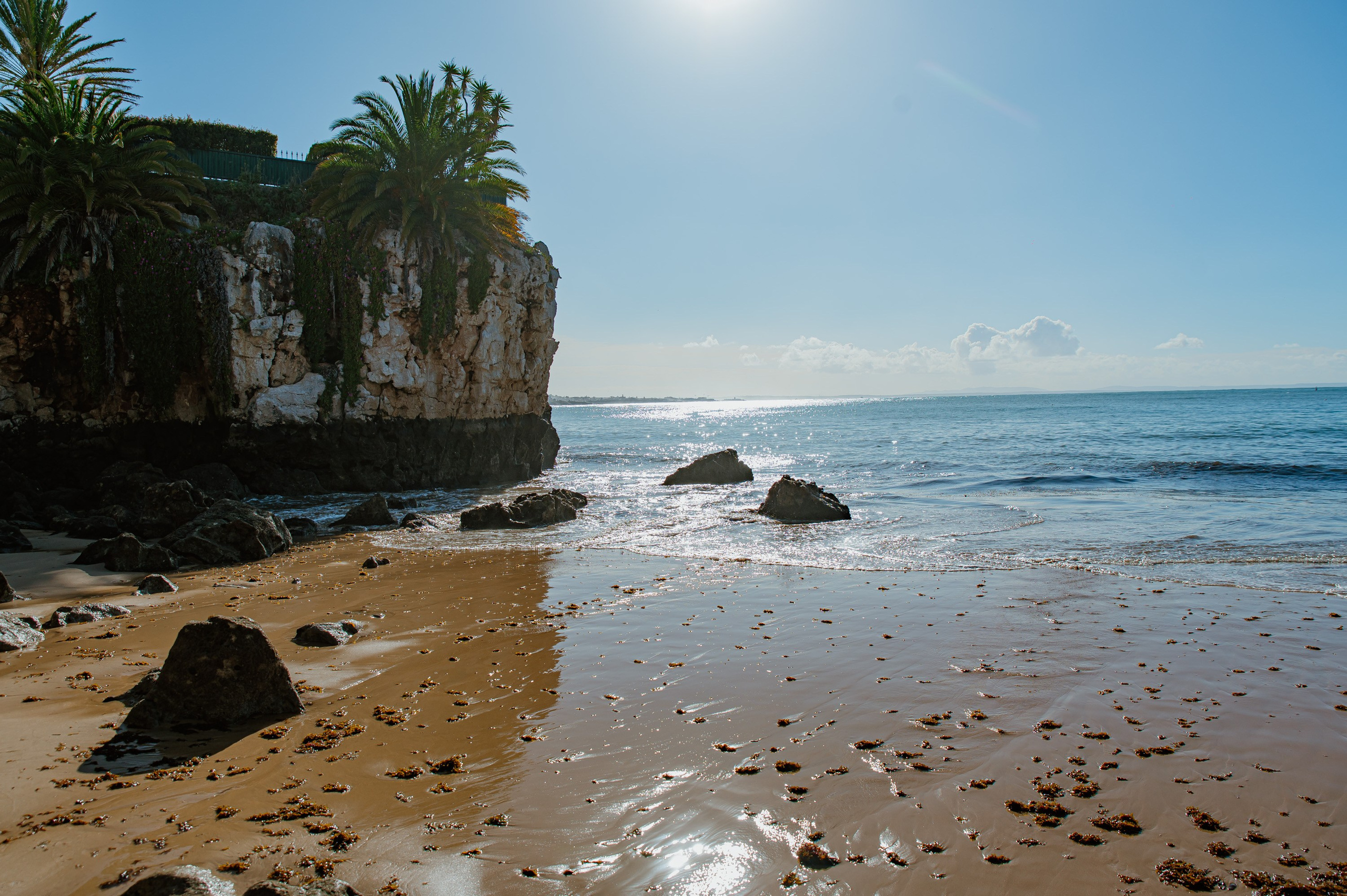 Portugal. Bojana Žuža fotograf u Beogradu 📷 Belgrade photographer