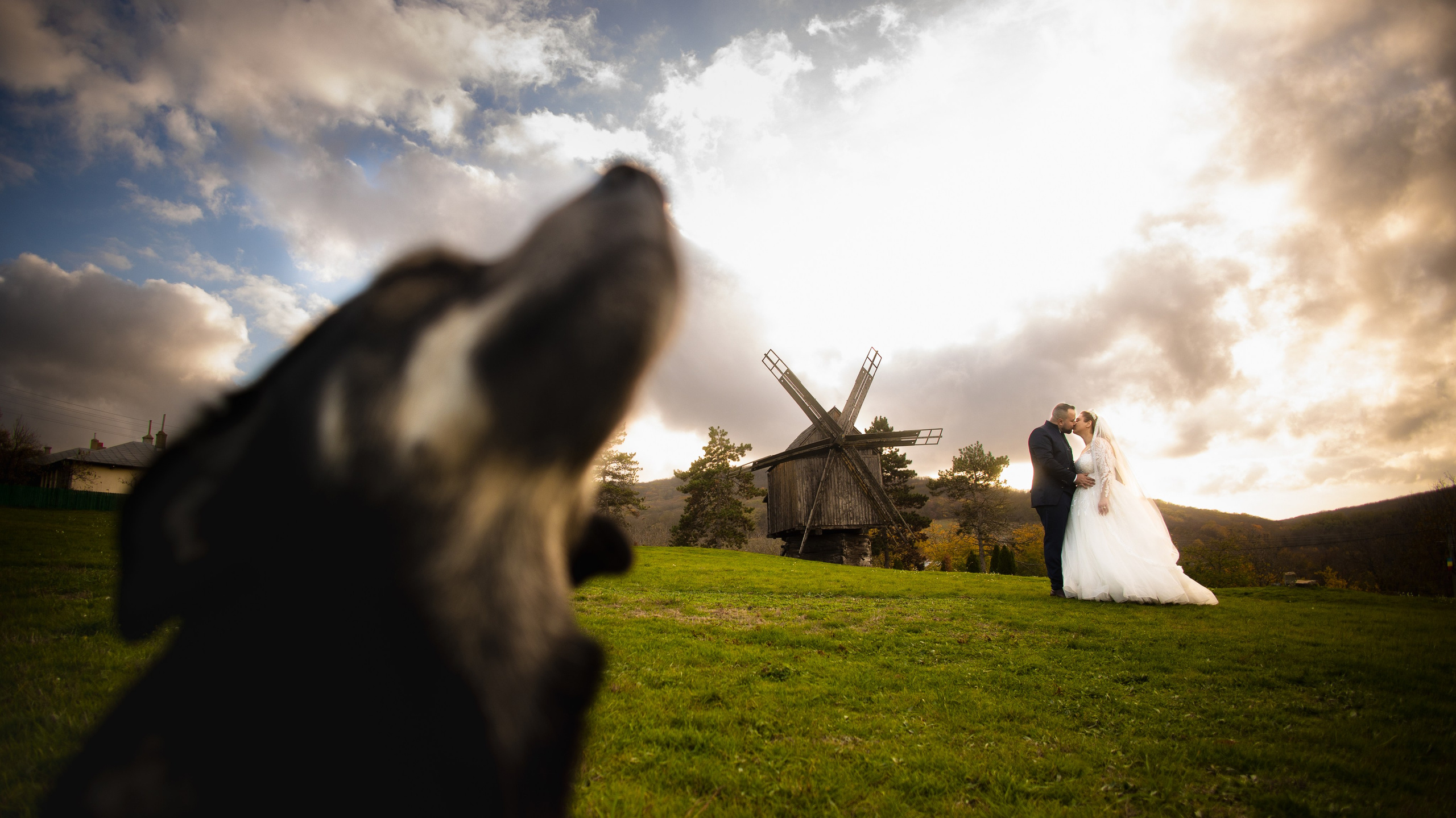 Fotografii de la sedinte foto Trash the Dress. Codux — Fotograf Tulcea | Fotograf Evenimente