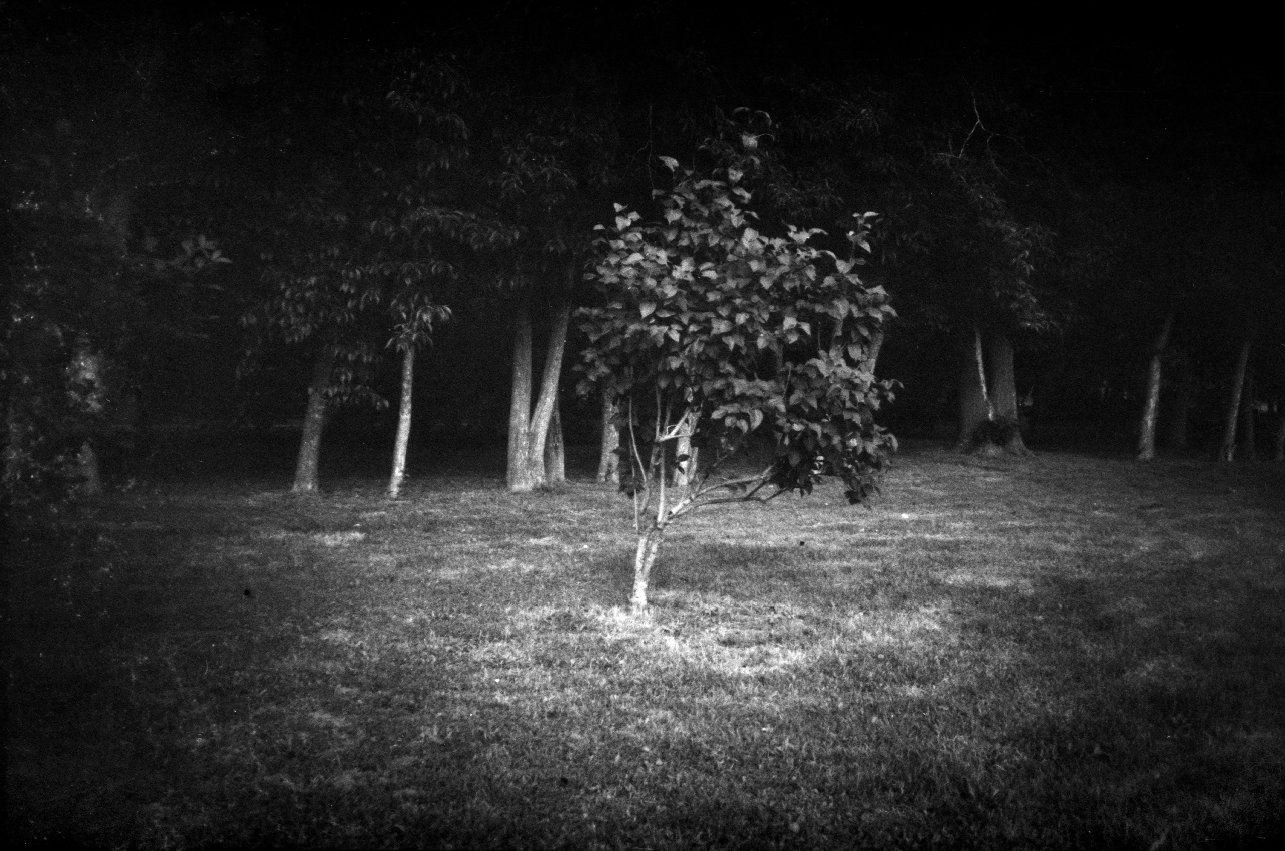 Silent light. Natalia Parfenova visual artist film photographer