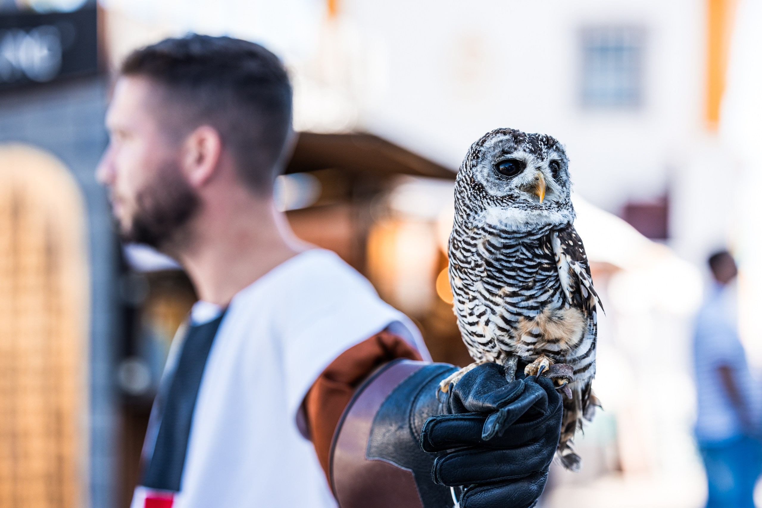 Fotografia de Eventos de Luxo | Beyond Creative. Produtora de Vídeo e Fotografia Cinematográfica | Beyond Creative 20 Portugal Lisboa