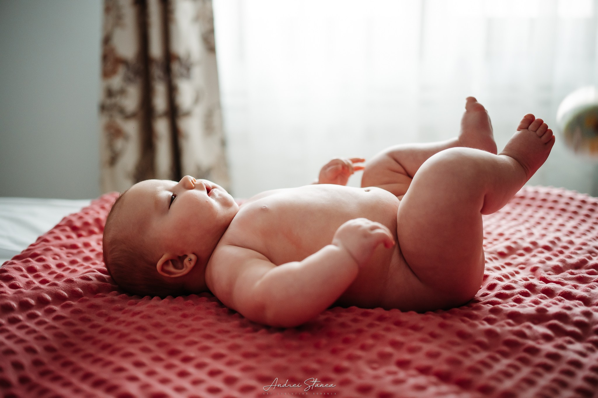 Zenayda. Andrei Stanea