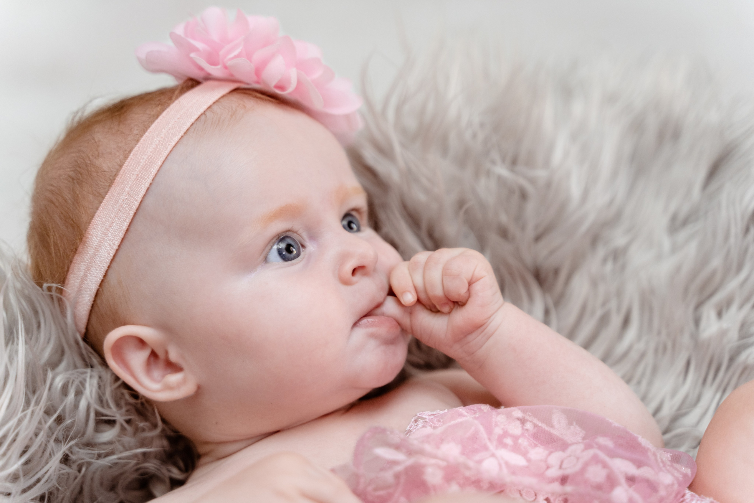 Fotograf Profesionist si Videomaker