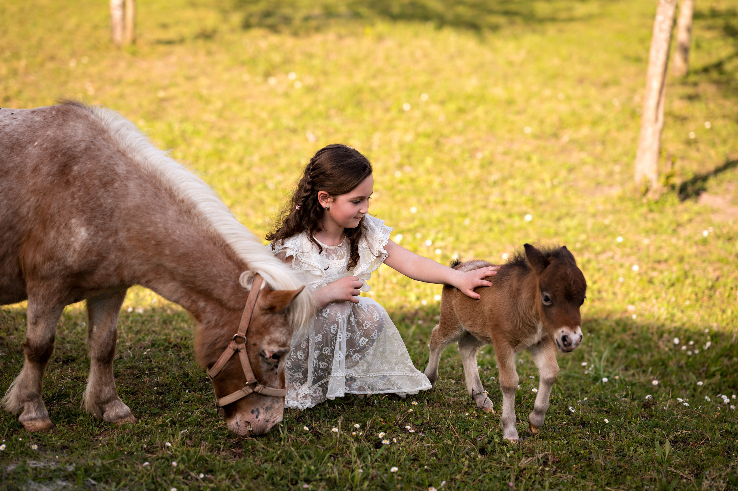 Ponys. Kinder- & Familienfotograf in Gaildorf und Umgebung Valentina Vogel