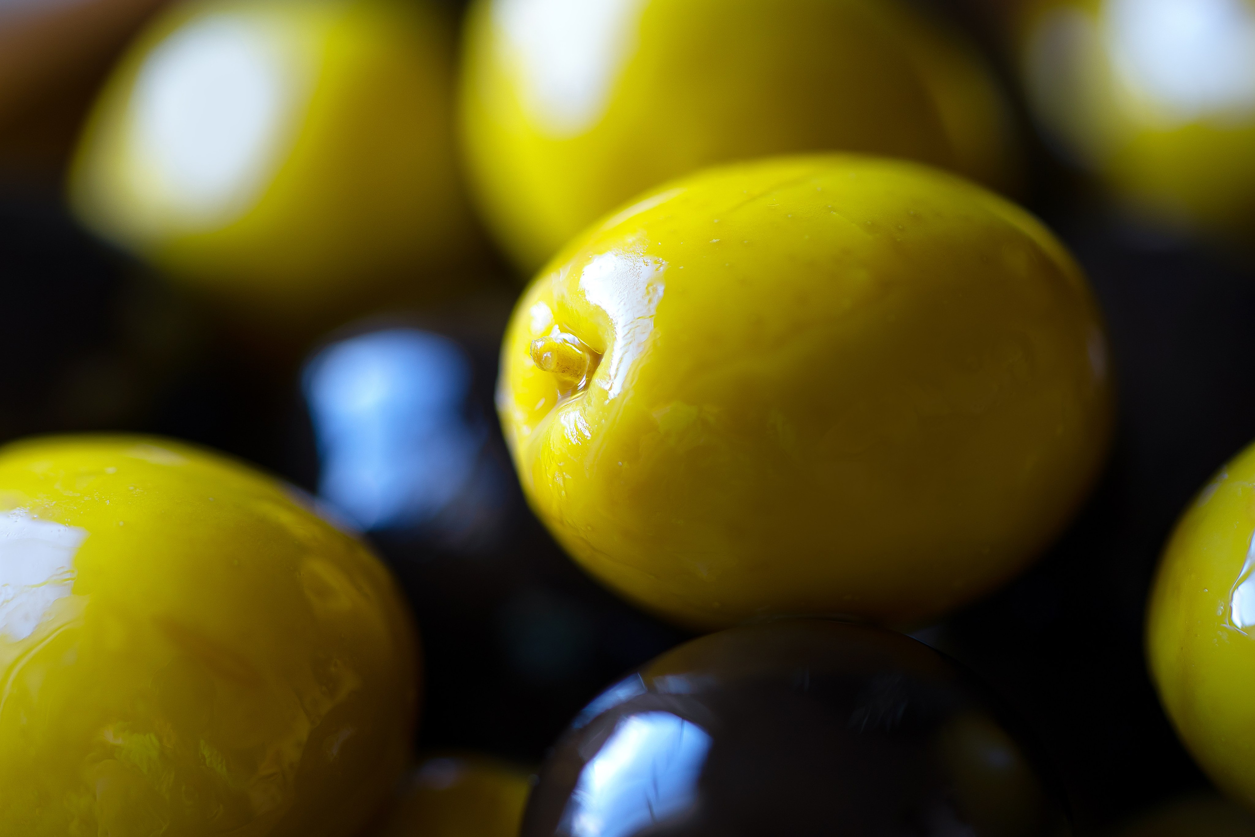 SERVICIOS. Fotógrafo Madrid. España. Elena Lukicheva