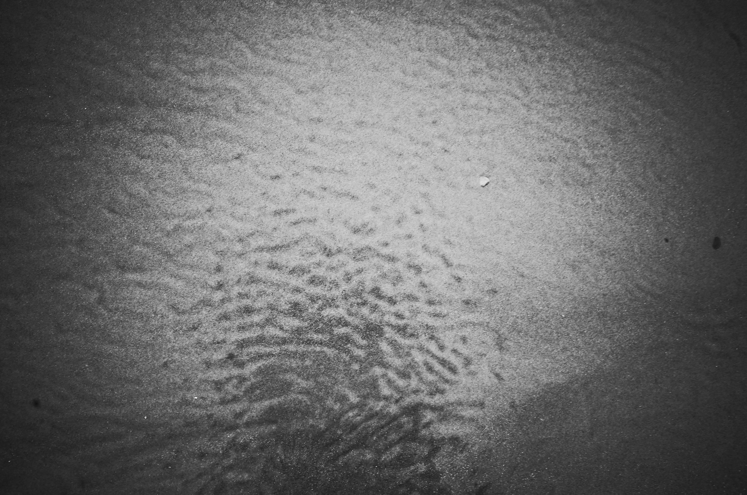 Dance at the new moon. Victoria Dini. Art photography in London / Folkestone, UK