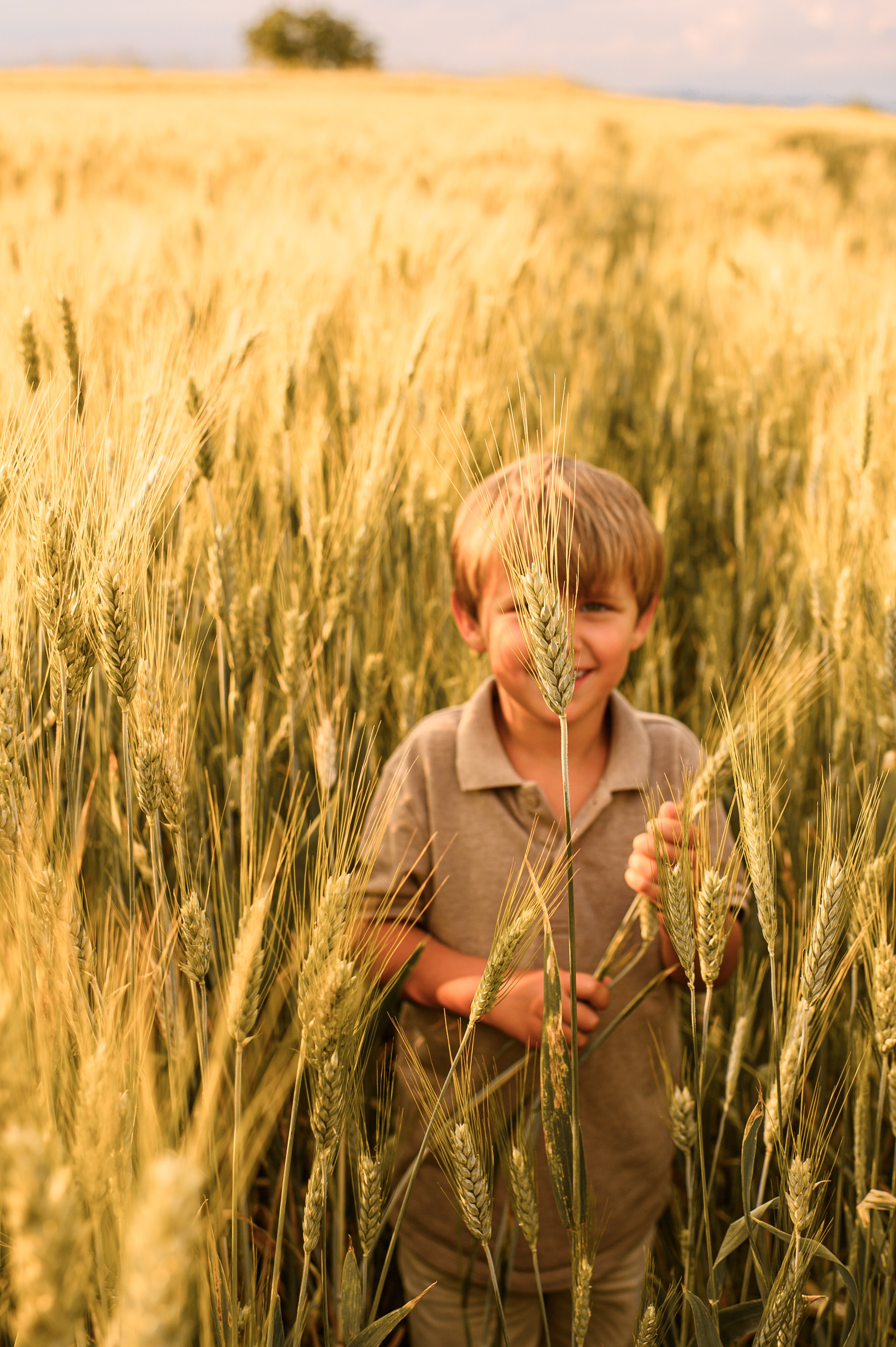 Wheat fields. Family, children, portrait, and event photography in Thessaloniki