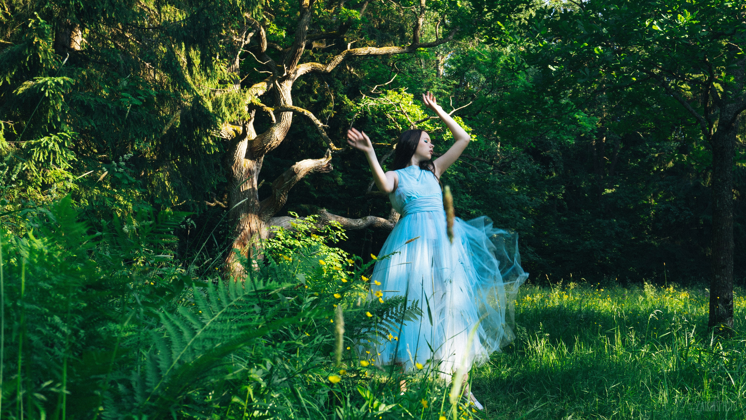 Alice In Wonderland. Main