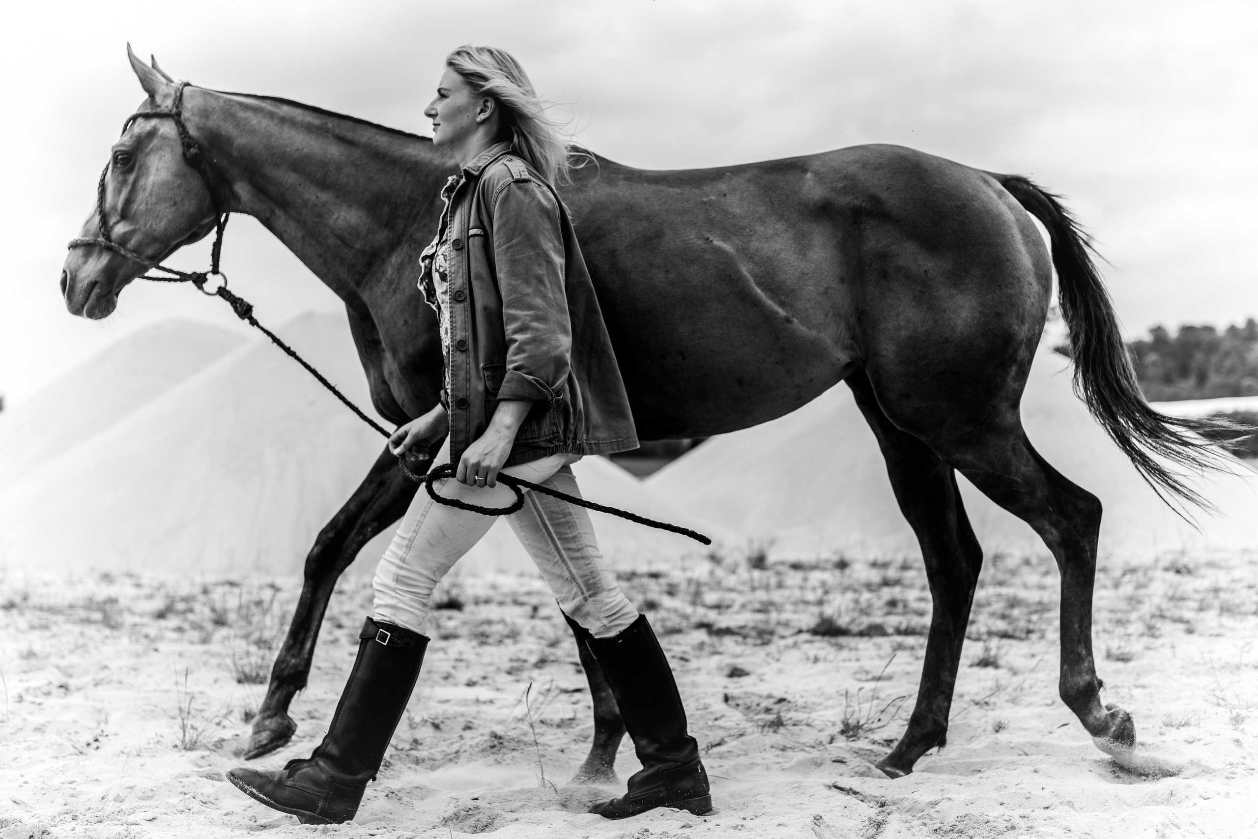 Photo shoot with horses