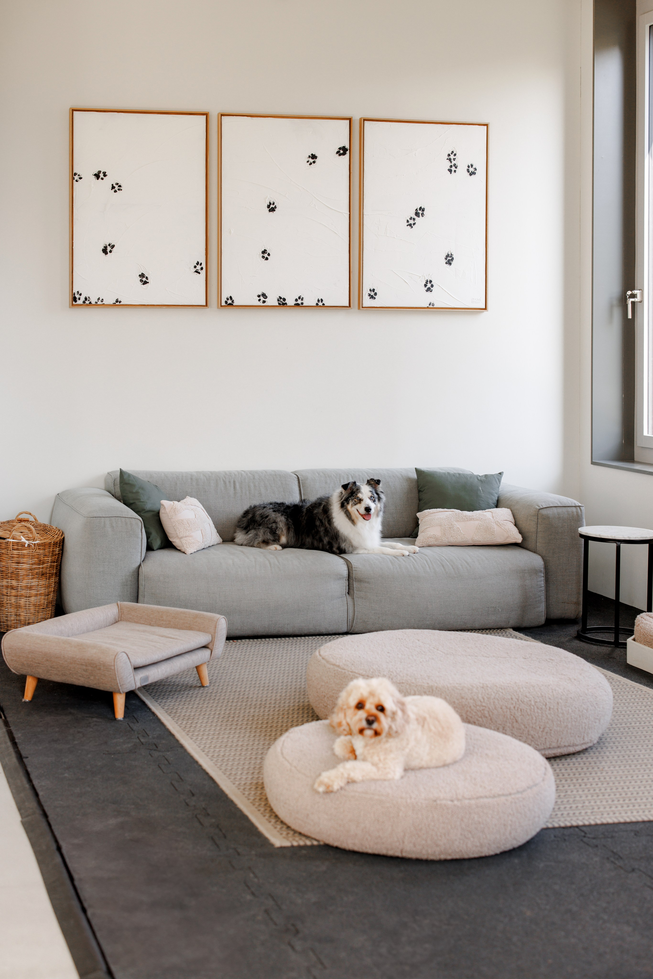 Bark & Bones. Familien- & Hochzeitsfotografin Schweiz. Valeria Diaz in Zürich und Umgebung