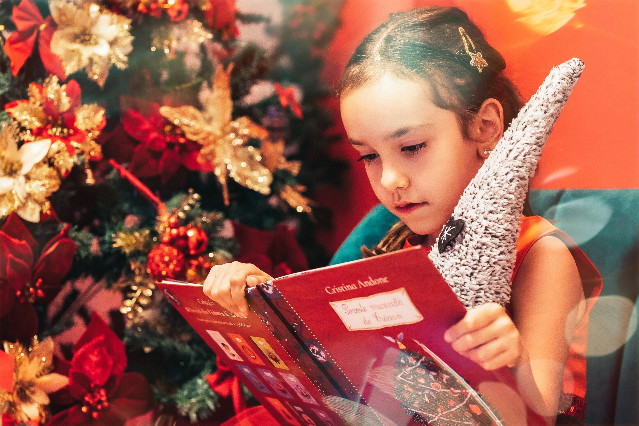 Sedinta Craciun Sofia