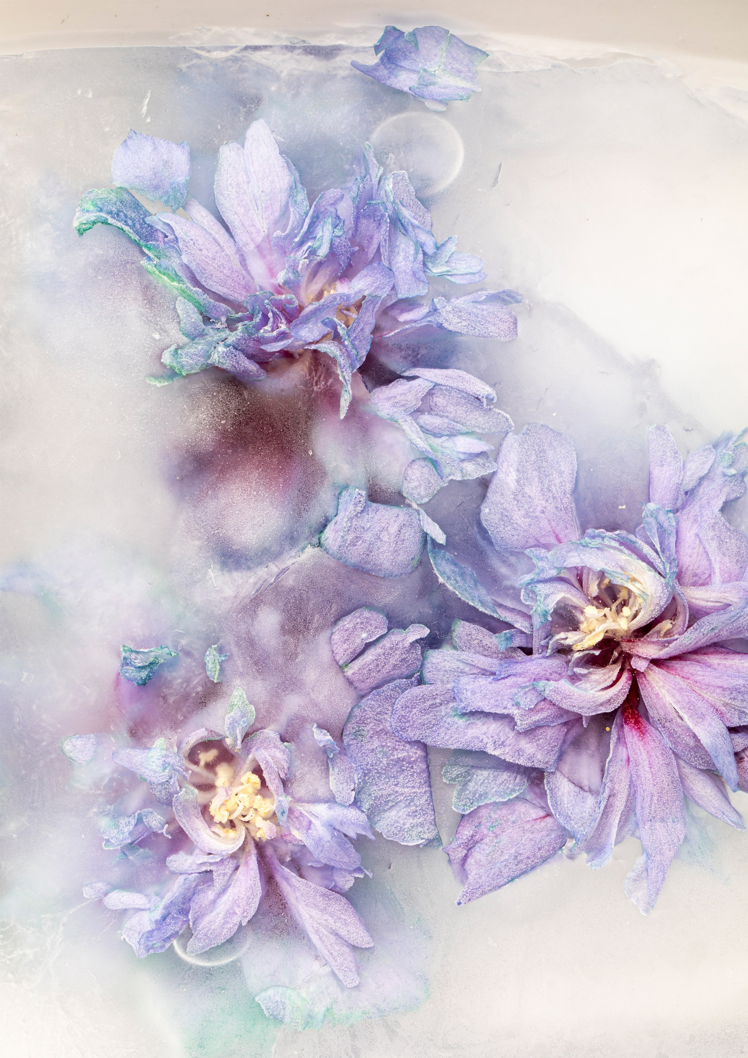 Valeria Mabo — Multidisciplinary artist in Barcelona