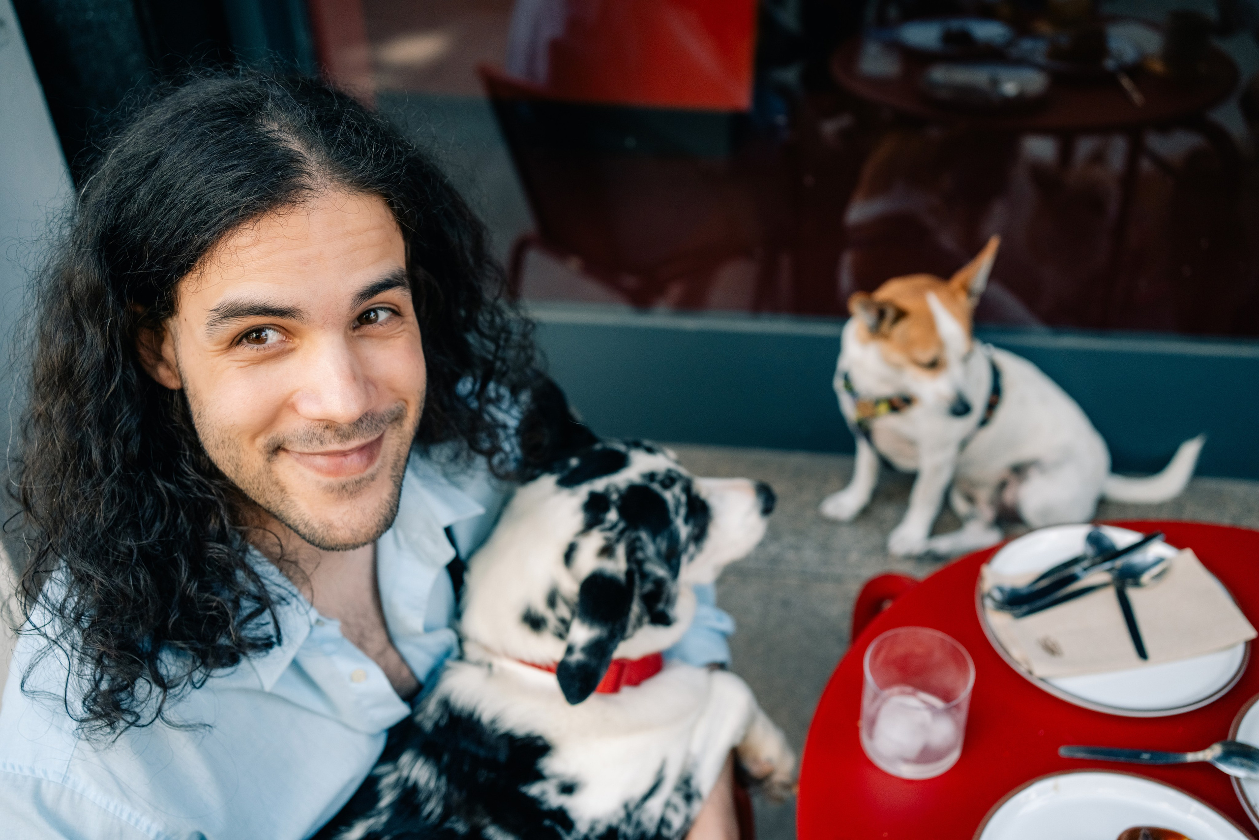 Yana & Pedro & Doggos. Maria Sher. Fotógrafa profissional do Porto, Portugal