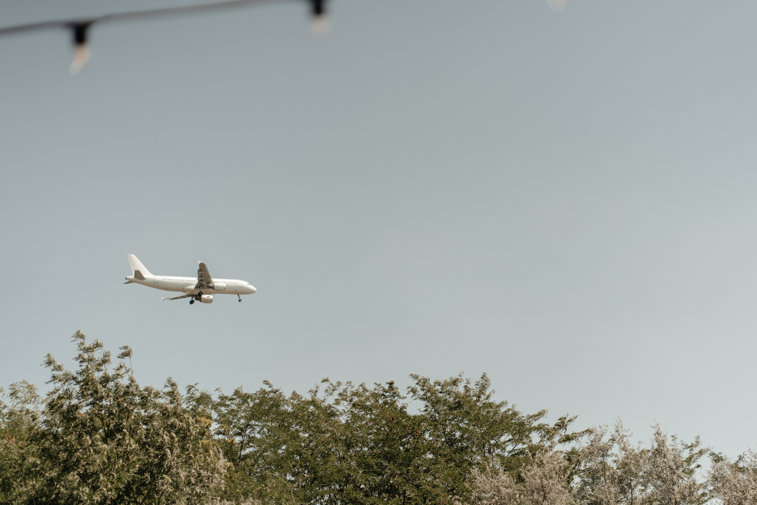 Cununie civila in aer liber si sedinta foto de cuplu. Proud Vision Weddings | Wedding Photography & Film — Servicii profesionale Foto Video Nunta Iasi