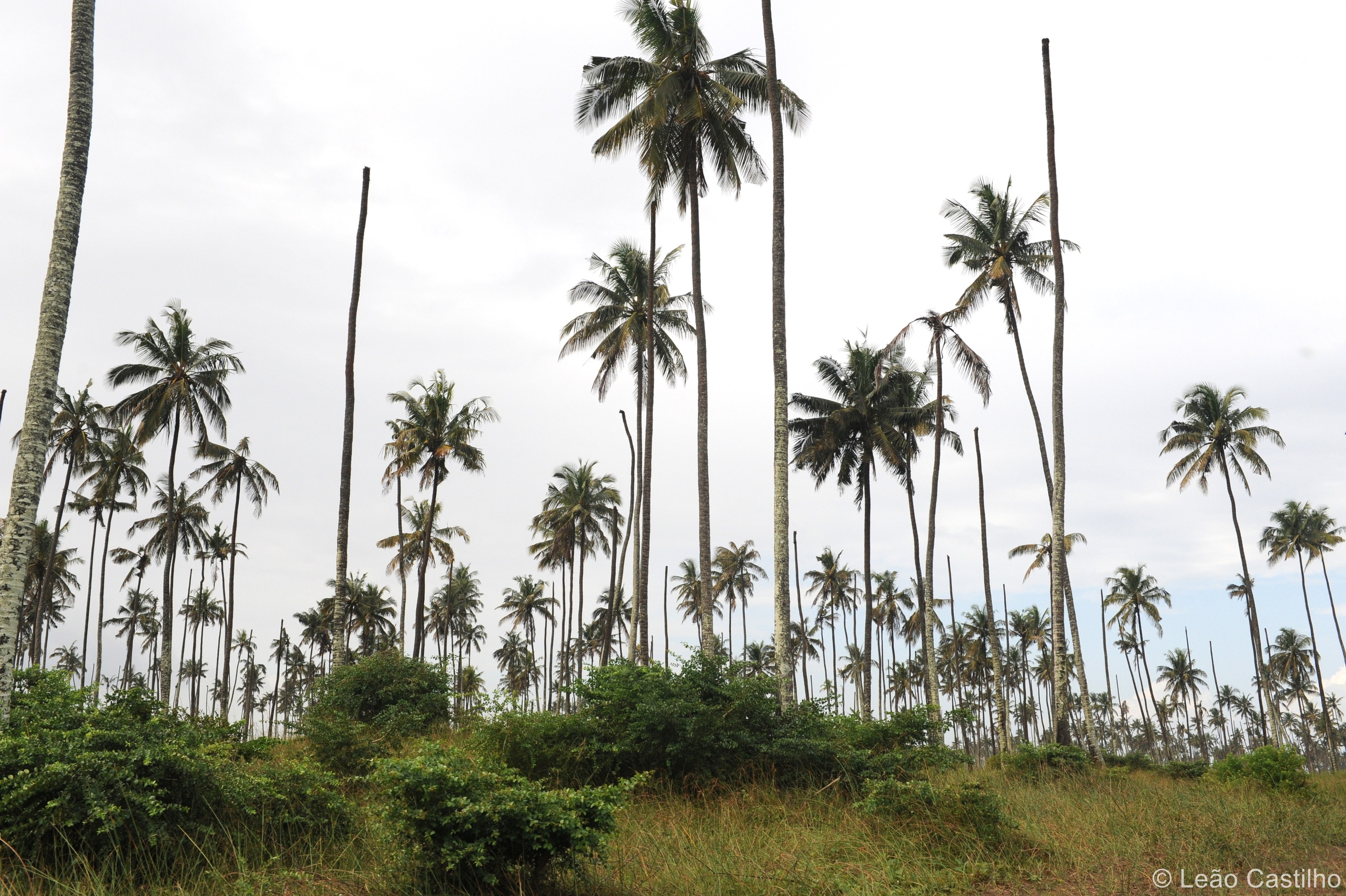 Photos from Mozambique. Simbahalu