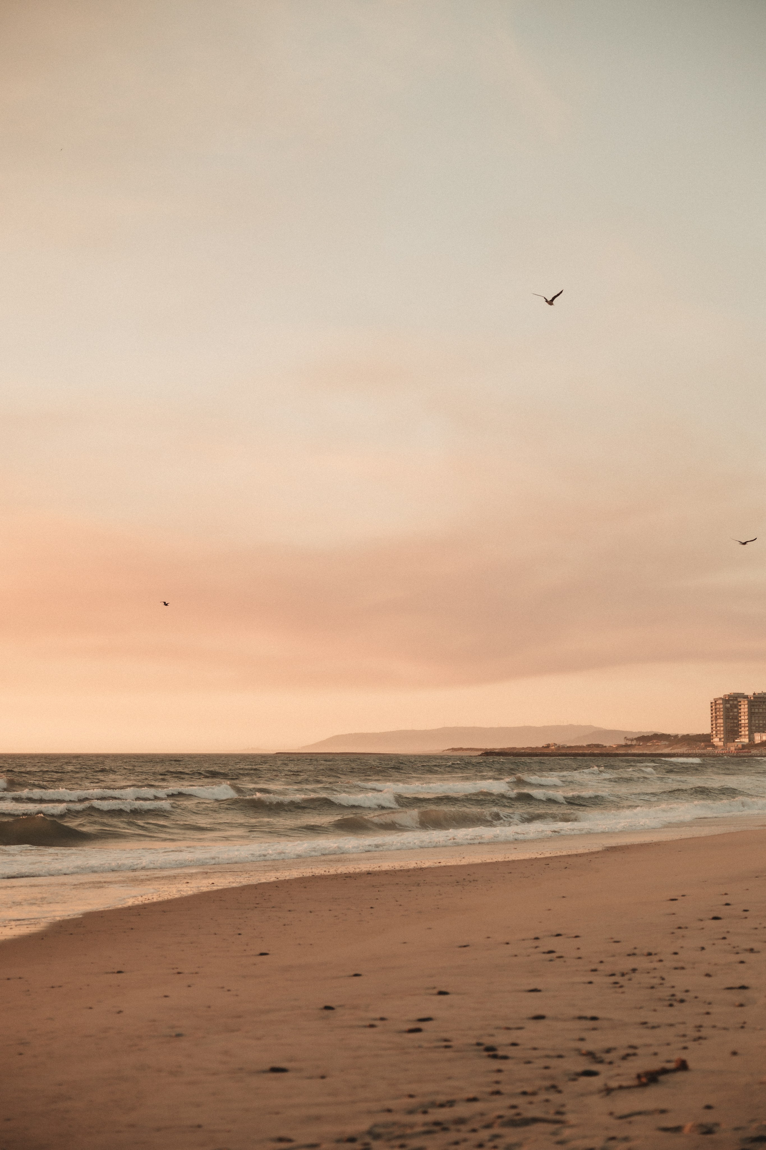 Sara e Fábio. Photographe de mariage et de famille à Braga — Alexandra Mieres Photography