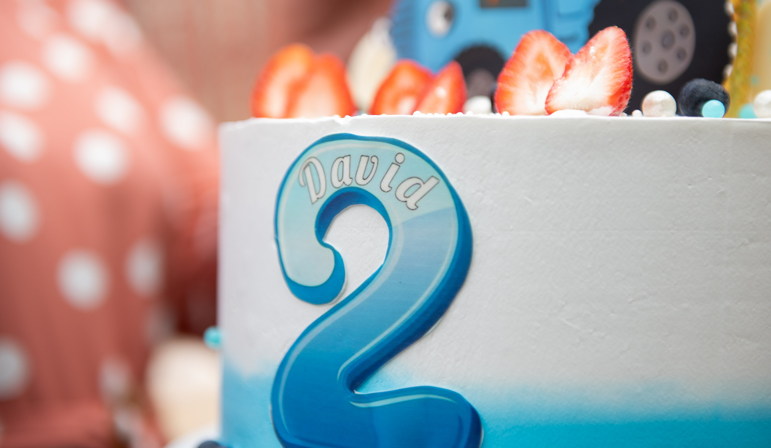 DAVID. Fotograf de familie Vitalie Budoianu