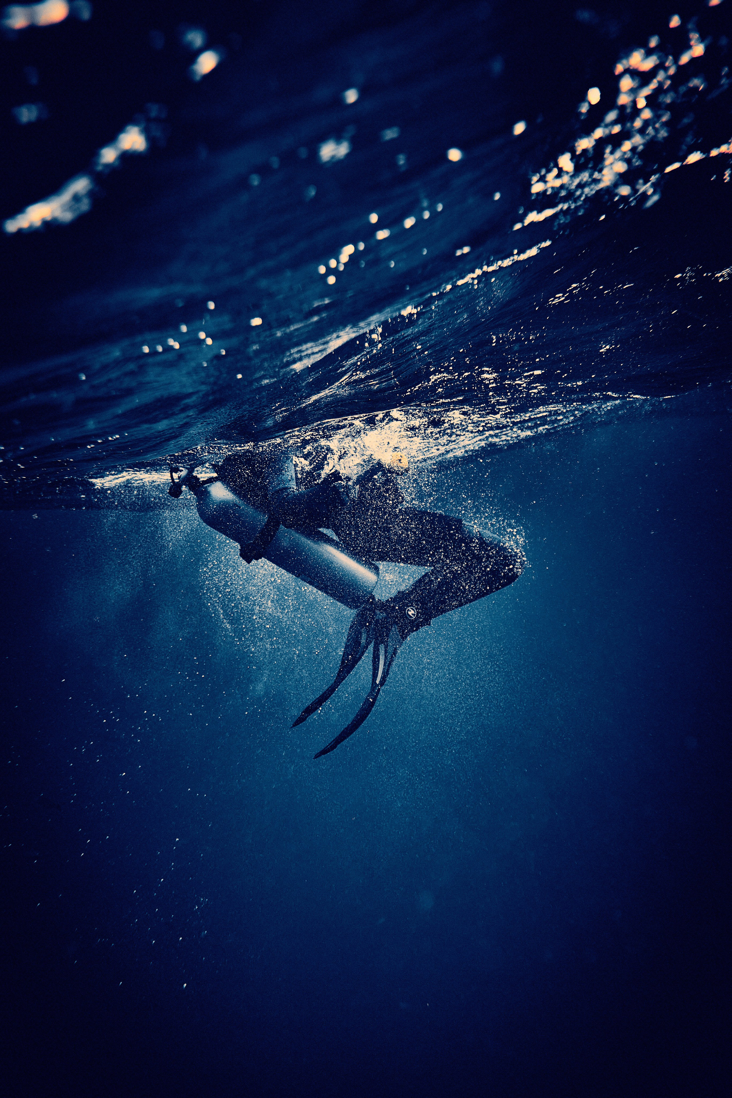 2023-11 - Diving Safari Deep South Egypt. Андрей Шипилов — Фотография & Видеография