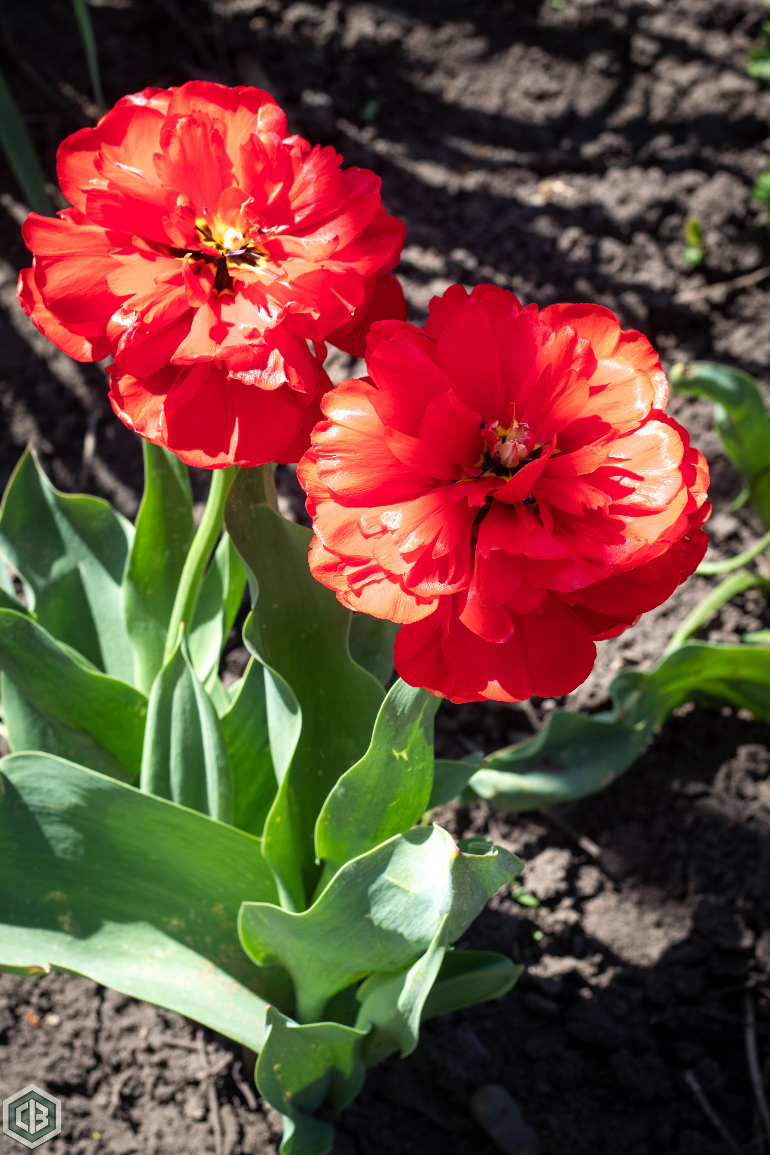 Trip to Mileanca. Cristian Baltag | Photography | Capturing Moments in Iasi
