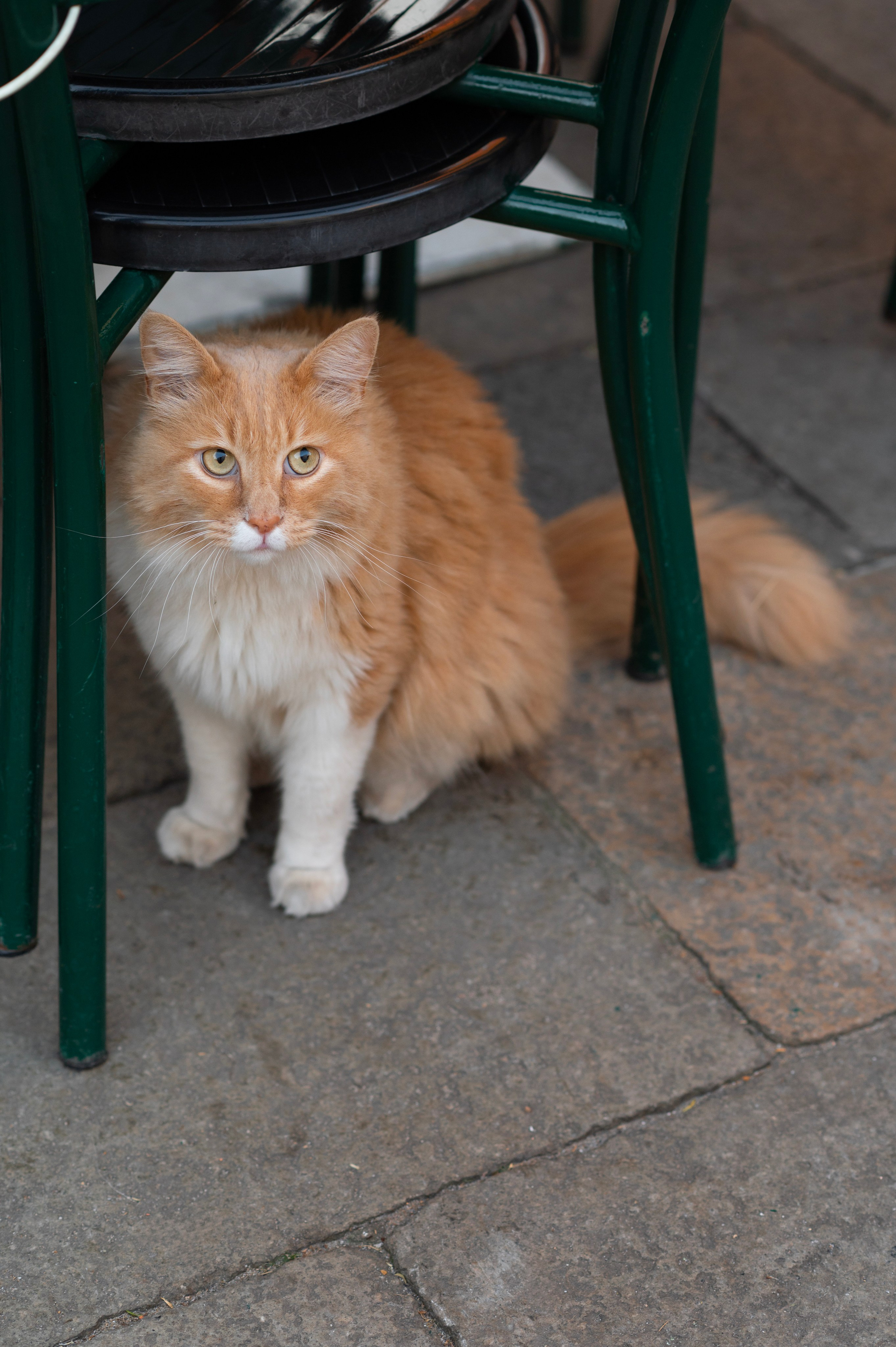 Tanya&Masha. Фотограф в Венеции Anna Terzi