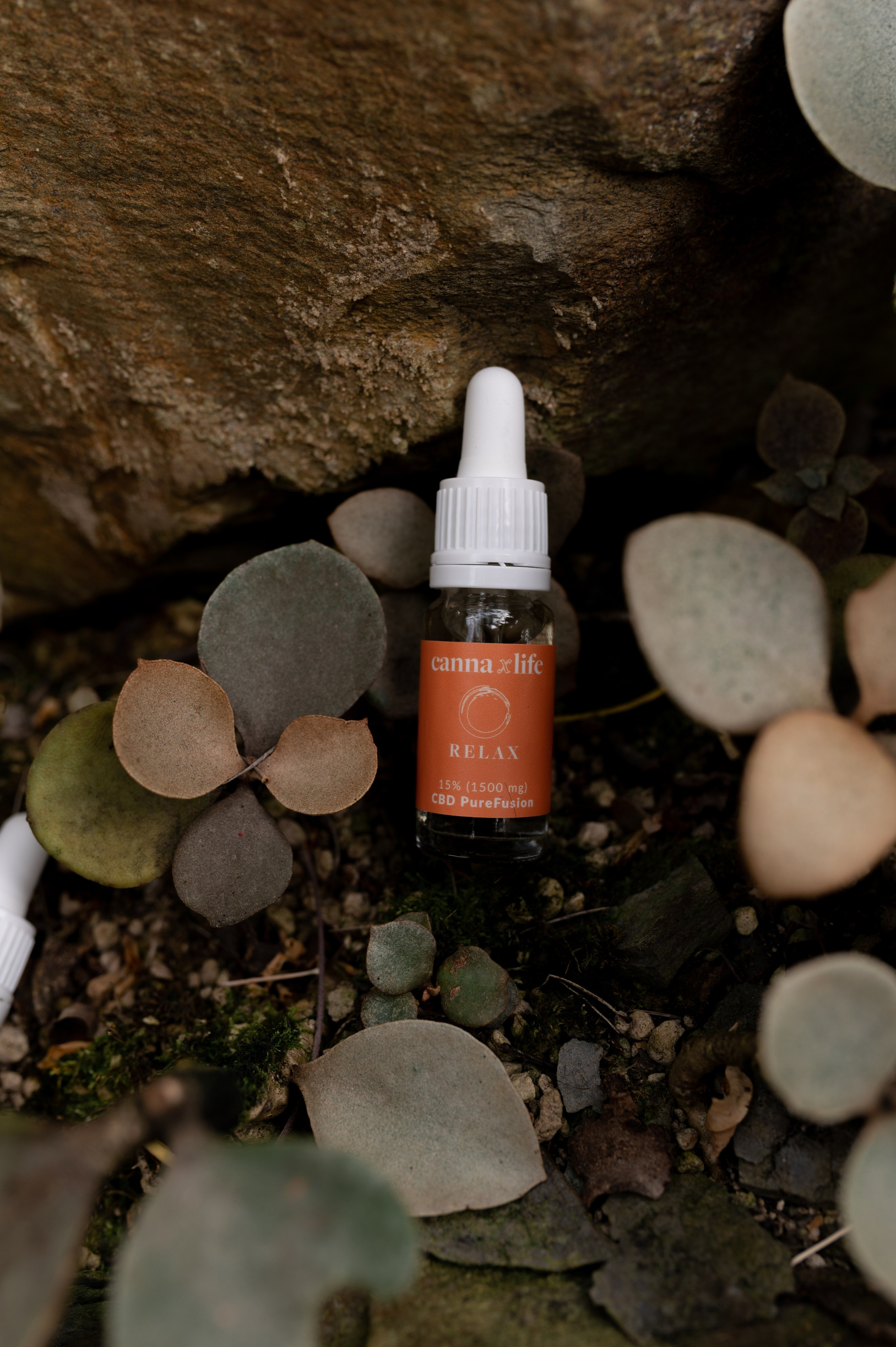 CannaXlife CBD products. ANNA-MARIA PHOTO CONTENT CREATOR — фотограф, естет, художник і візуальний експерт Instagram у Празі