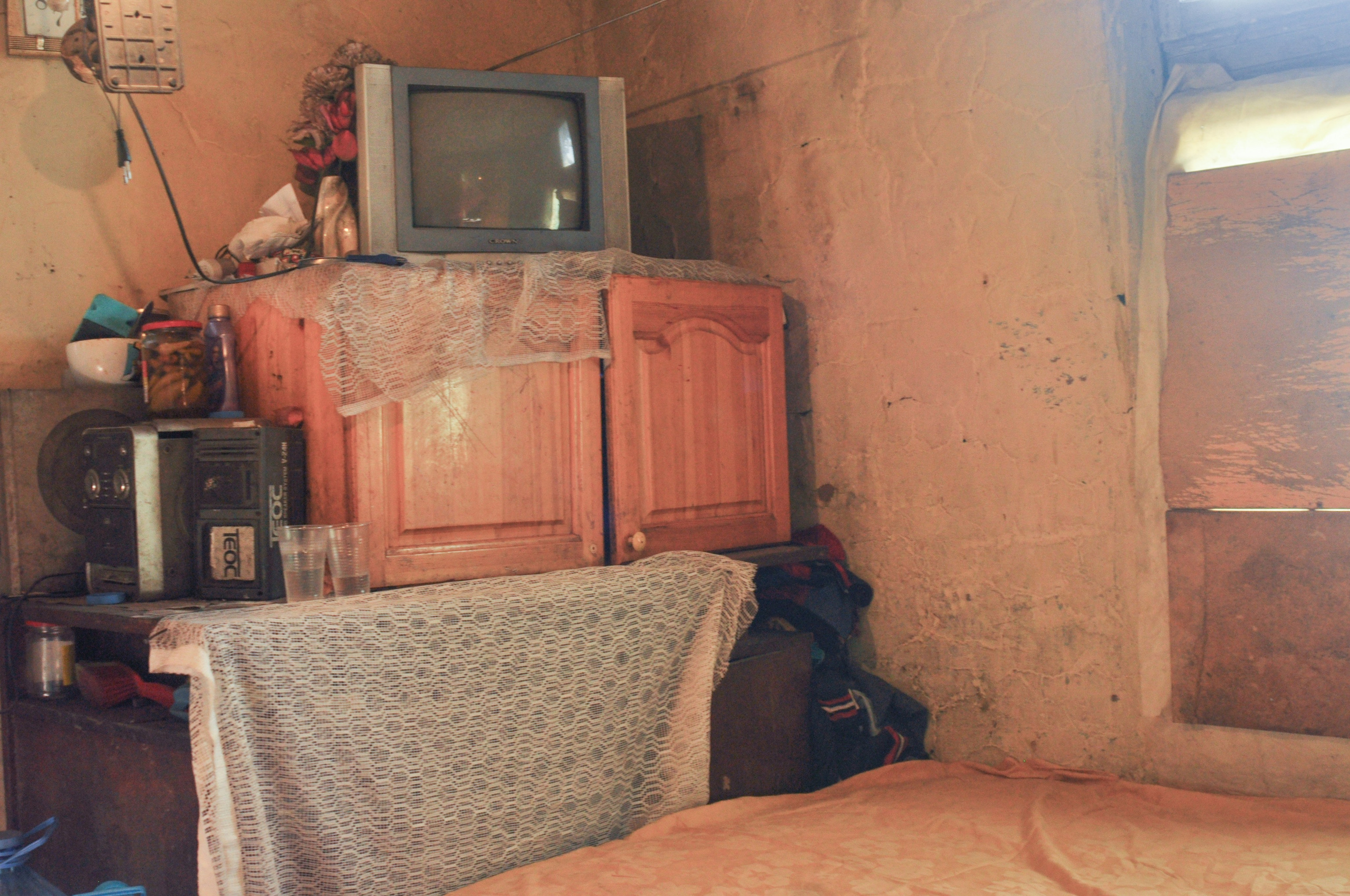 Hope for Cherry Blossom. Mayya Kelova artist