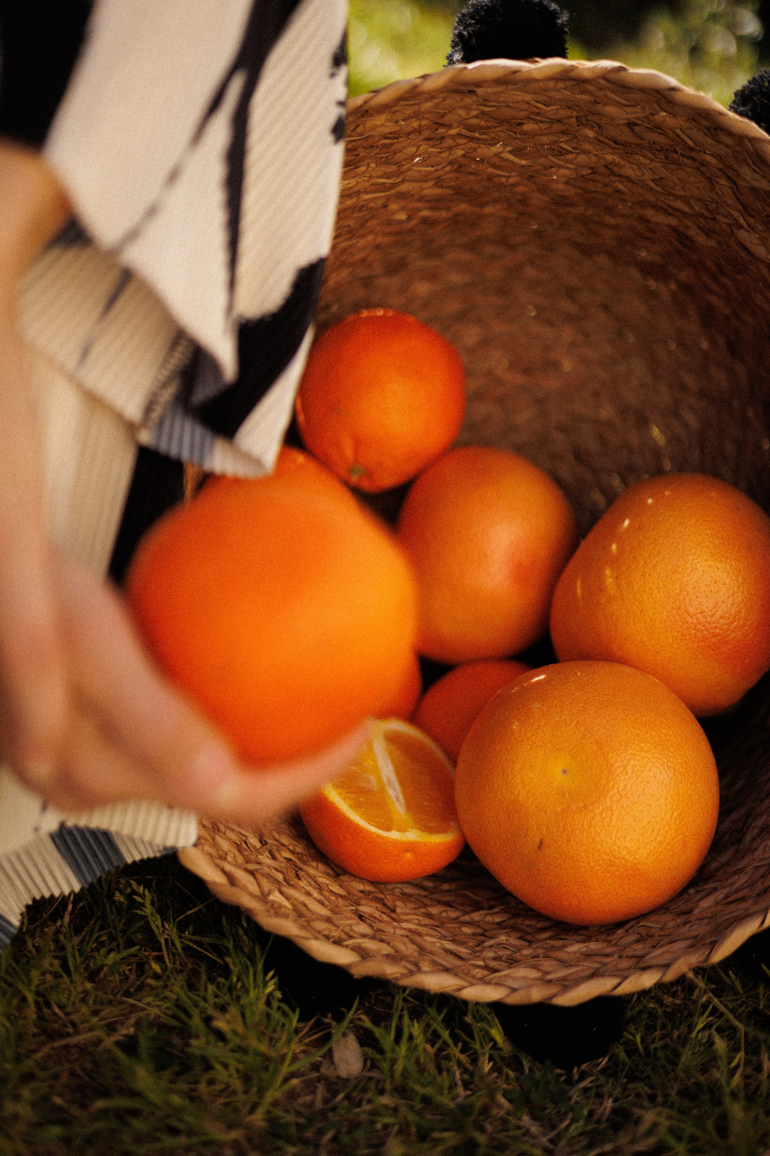 MY!. Photographe en Côte d’Azur