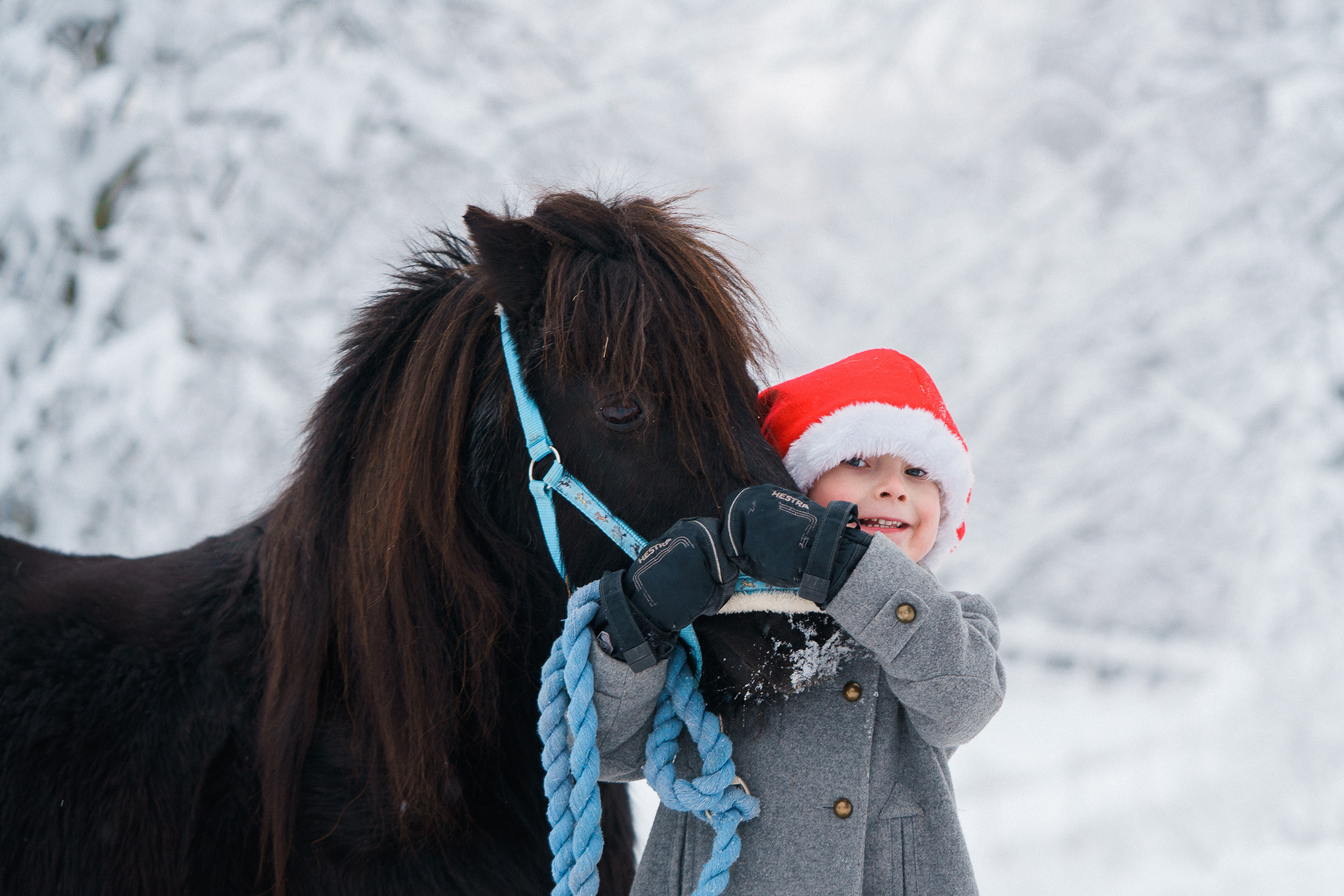 Joulukorttikuvaus asiakkaan hevostilalla