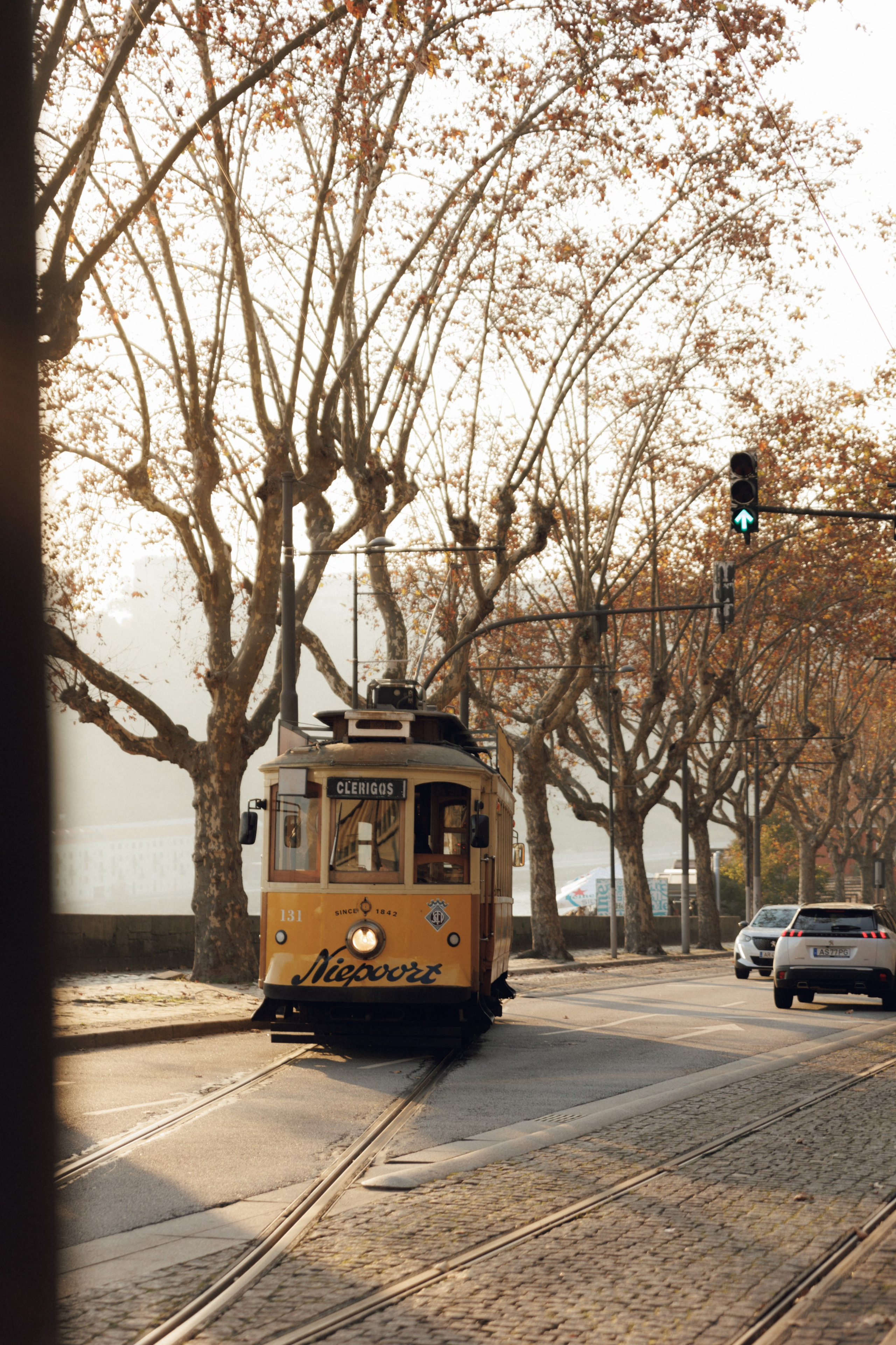 Lost in Madeira. Patricia Morenci — Mountain Adventures for the Wild at Heart