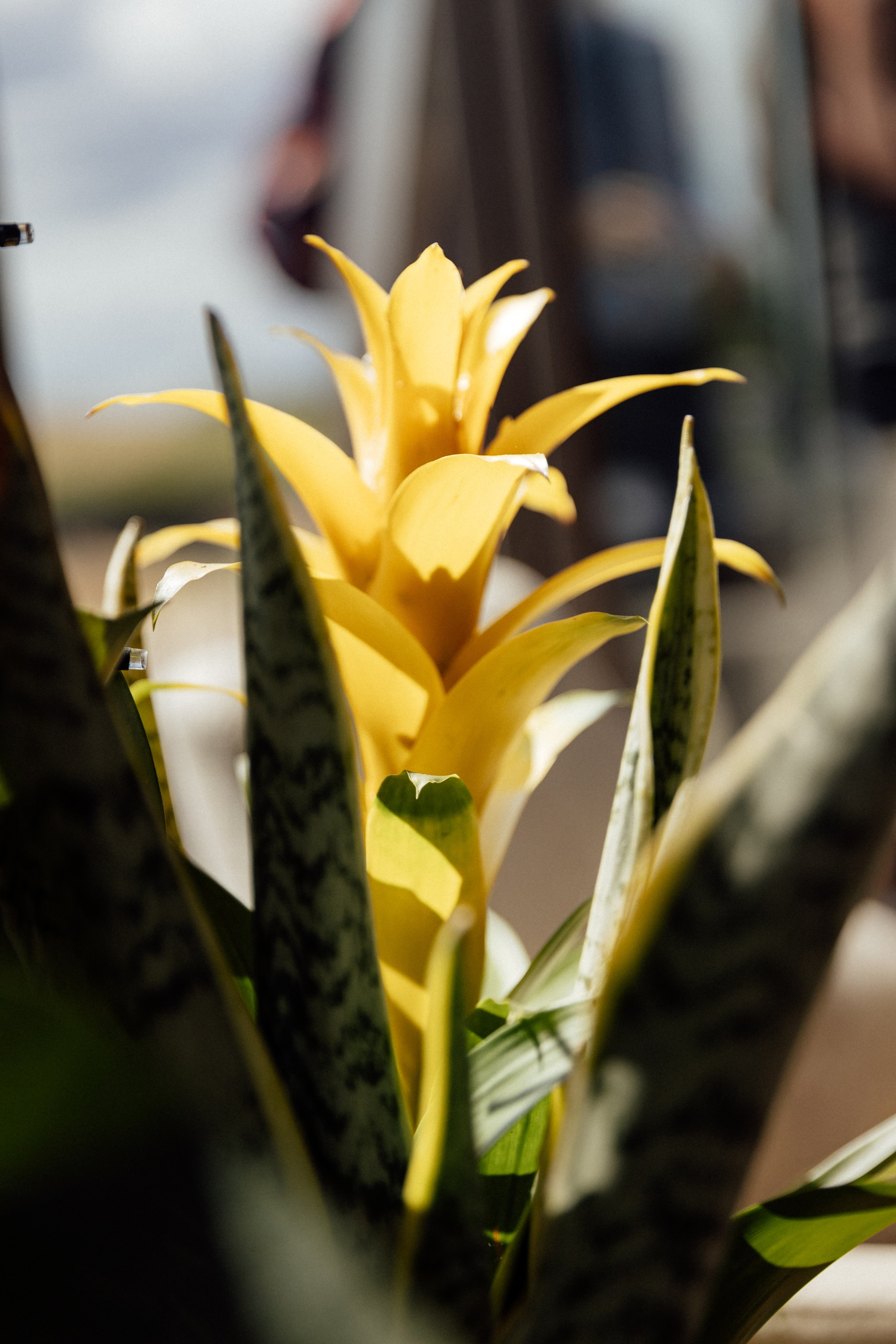 Elegant Wedding Photo Gallery in Hertfordshire. Timeless Wedding & Event Photography — based London, working across Europe