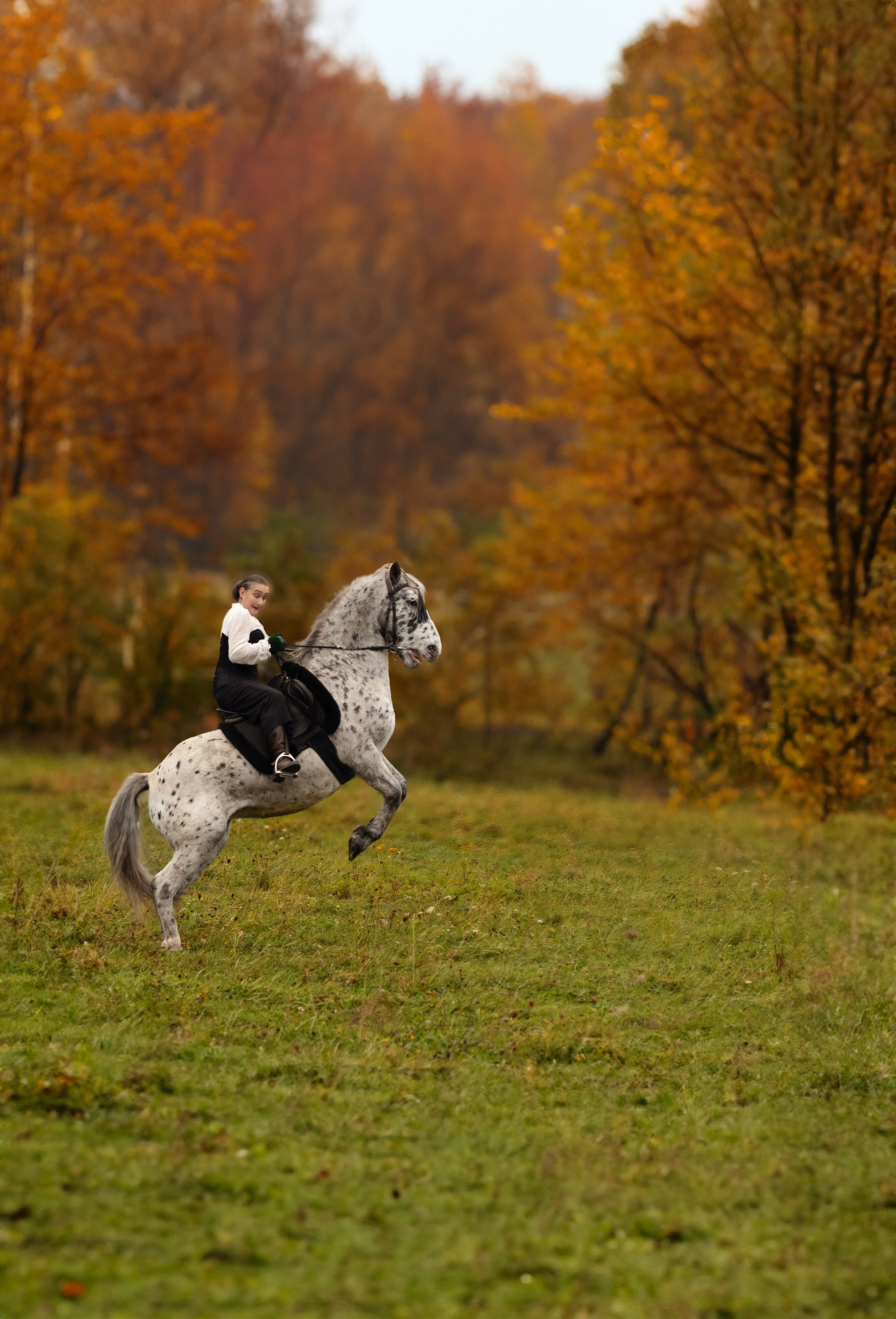 Geschichten mit dem Pferden. Kinder und Familienfotografie Wittlich und Trier Umgebung