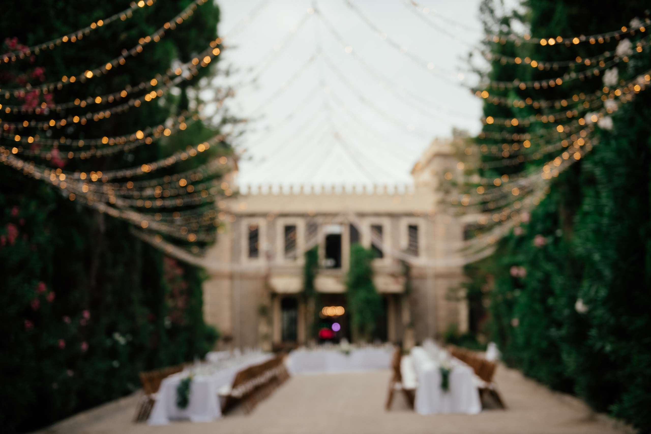 Alicia & Marc (Finca Marques de Montemolar)