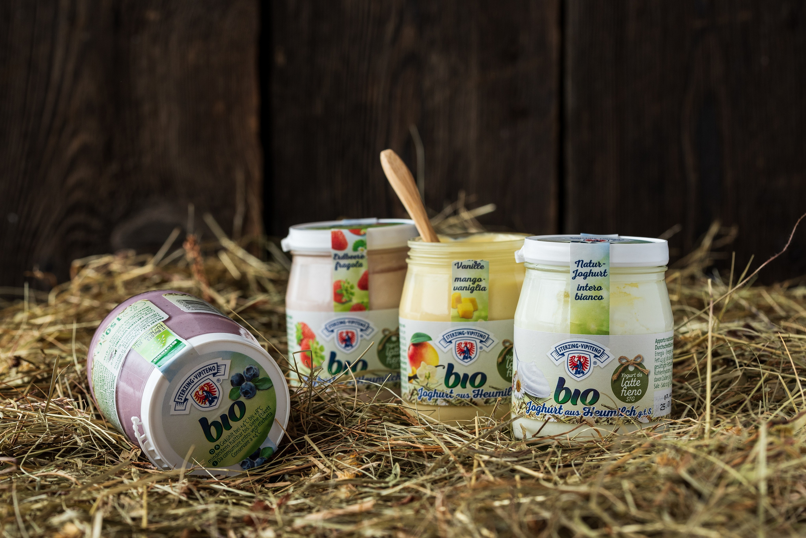 Sterzinger Joghurt. Familienfotografin aus Sterzing Elena Muehlsteiger
