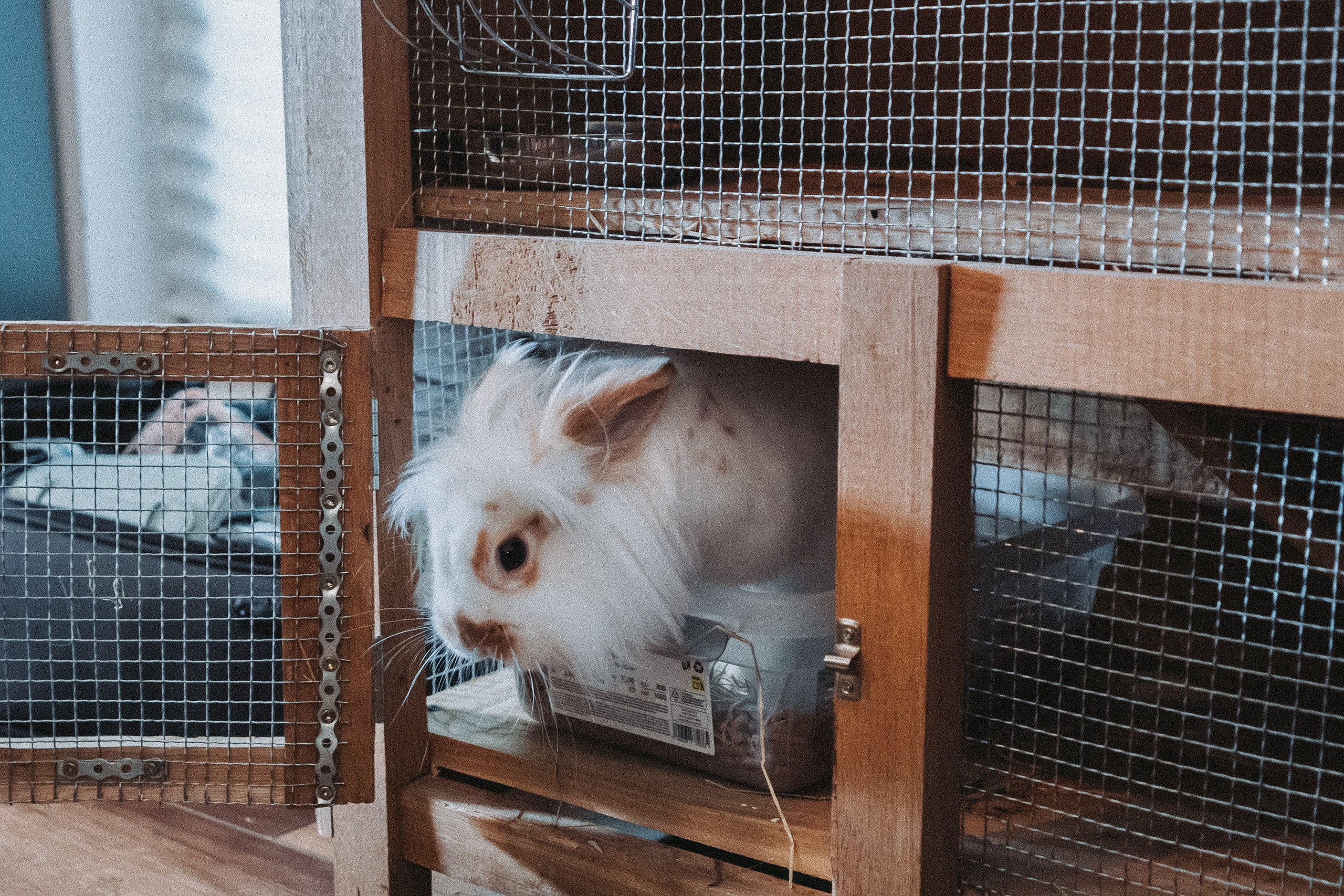 -Preview-Nunta Aurelia & Sebastian. Cătălin Lazăr Photography — Fotografie de nuntă și evenimente premium în România și Europa