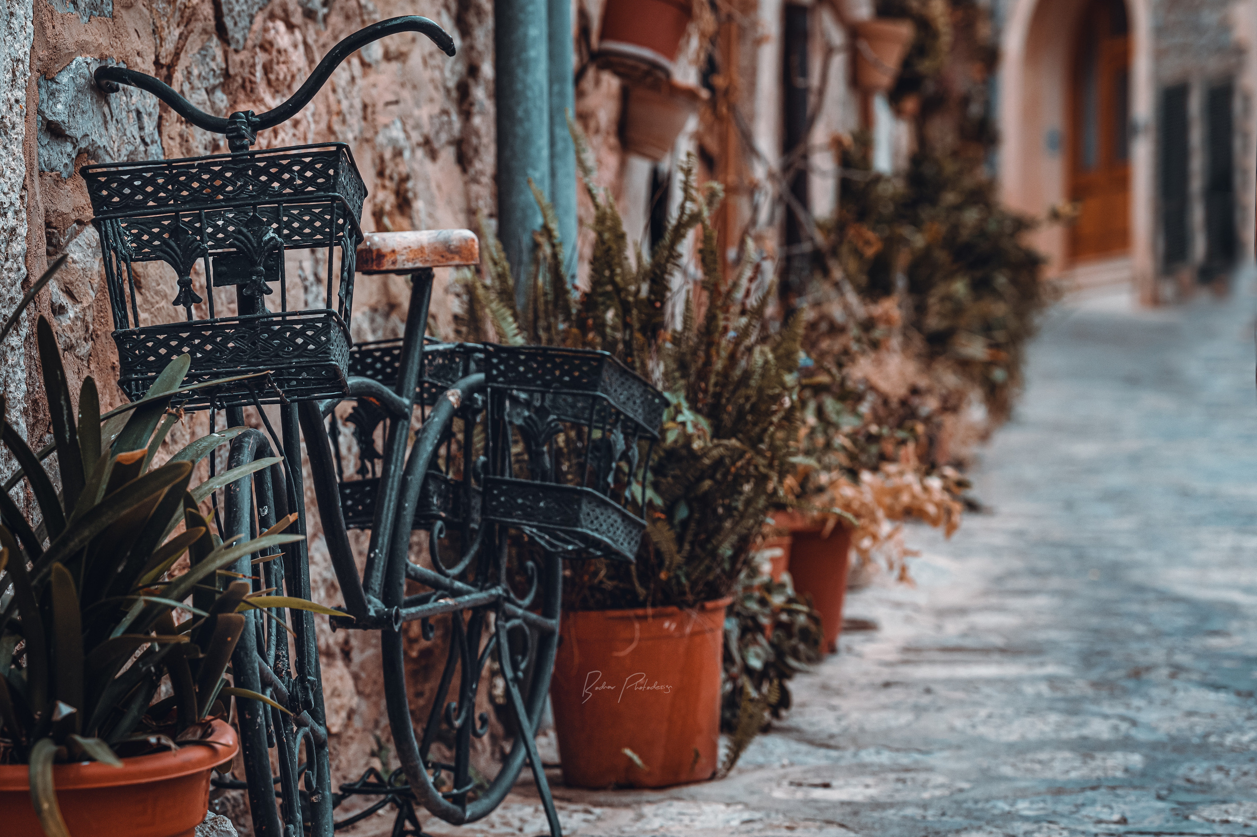 Fotograf in Berlin Brandenburg (Familien, Kinder, Paare, Hochzeiten)