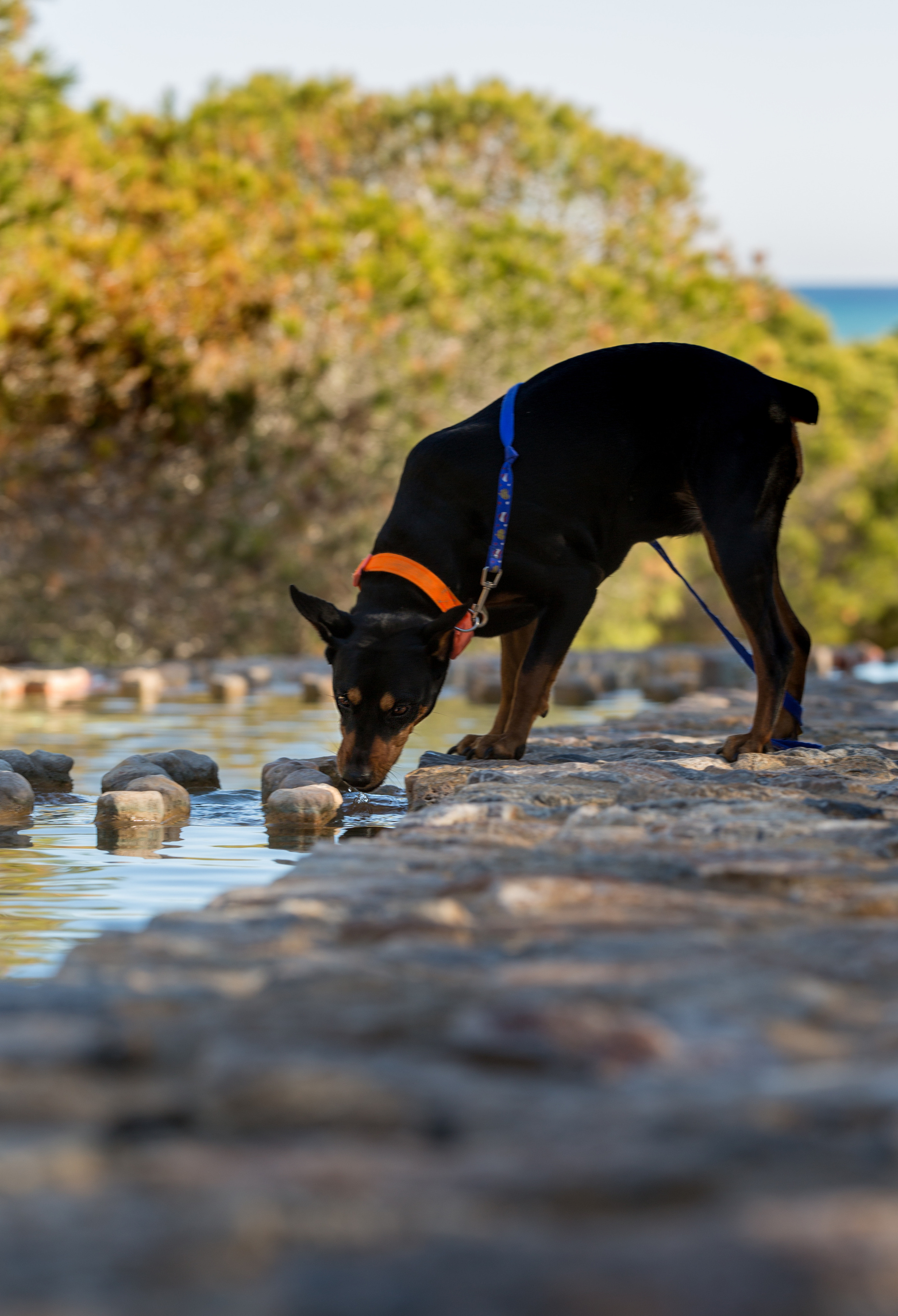 Vera. Family and real state photographer in Haugesund Dina Vikra