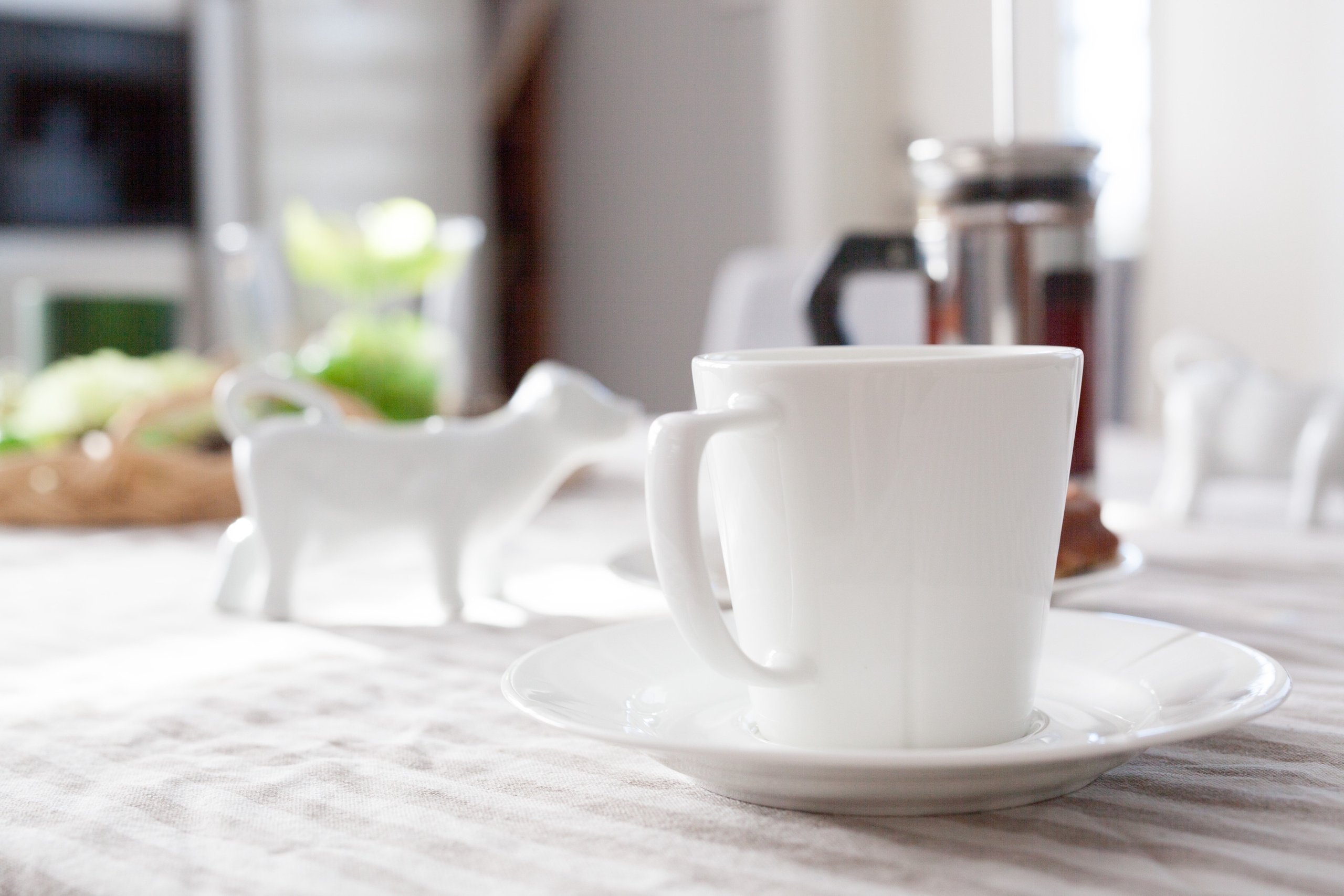 La mirada. Family and real state photographer in Haugesund Dina Vikra