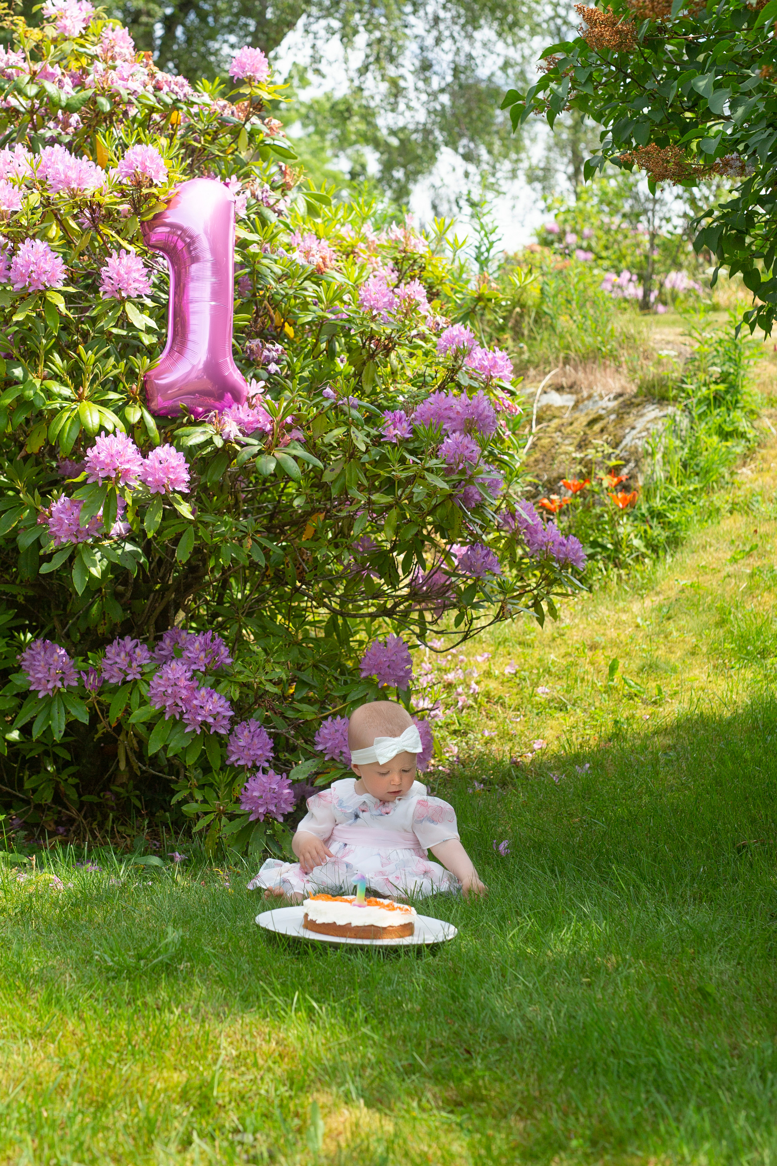 Kamilla 1st year. Main