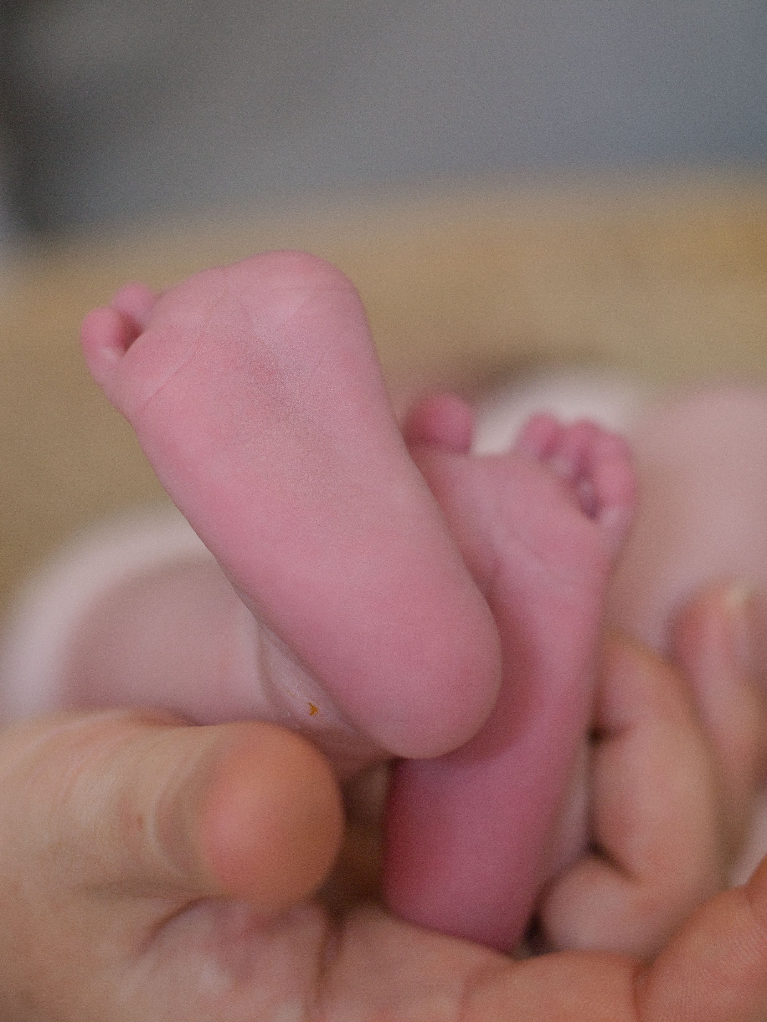 Daria. Family and real state photographer in Haugesund Dina Vikra