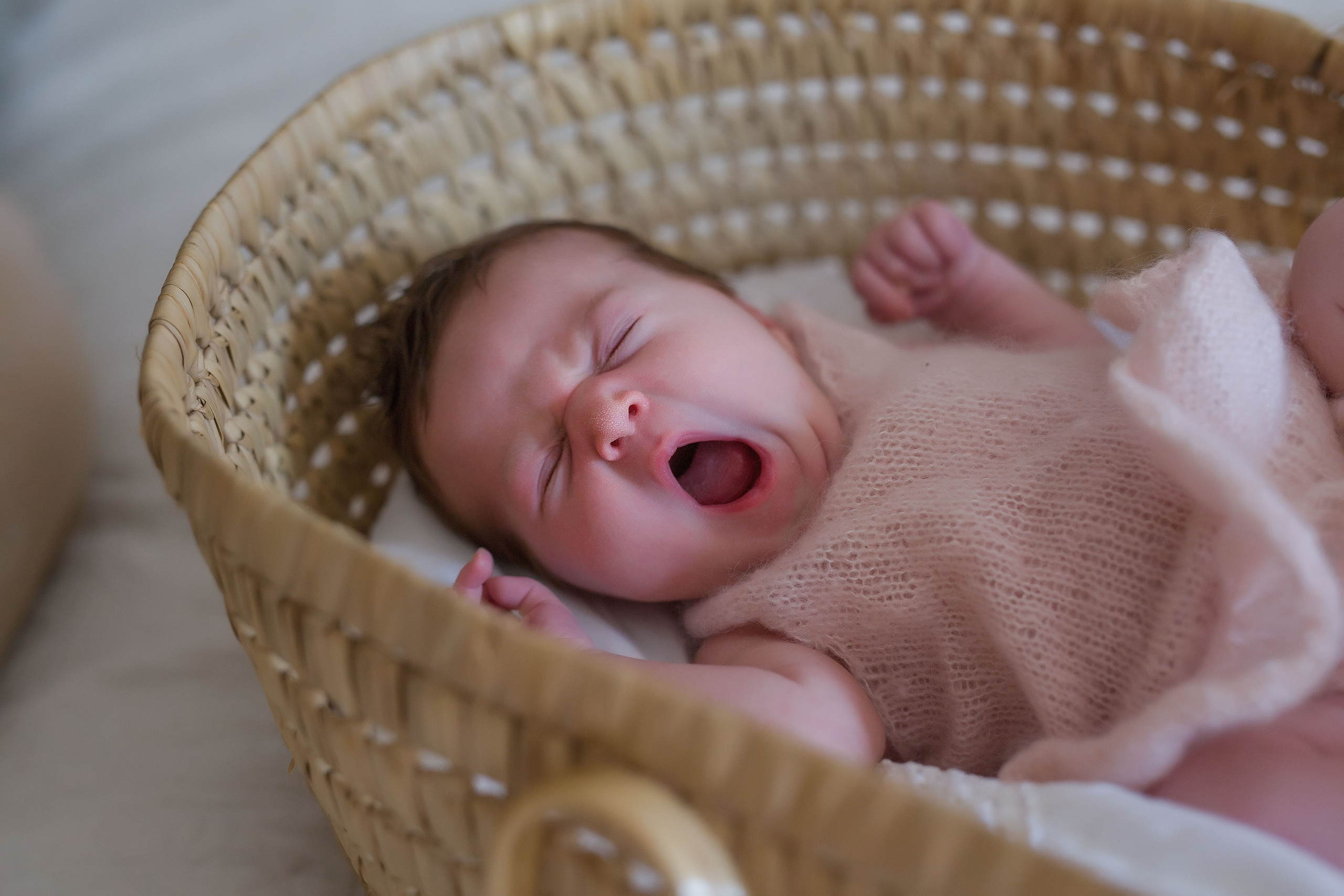 Daria. Family and real state photographer in Haugesund Dina Vikra