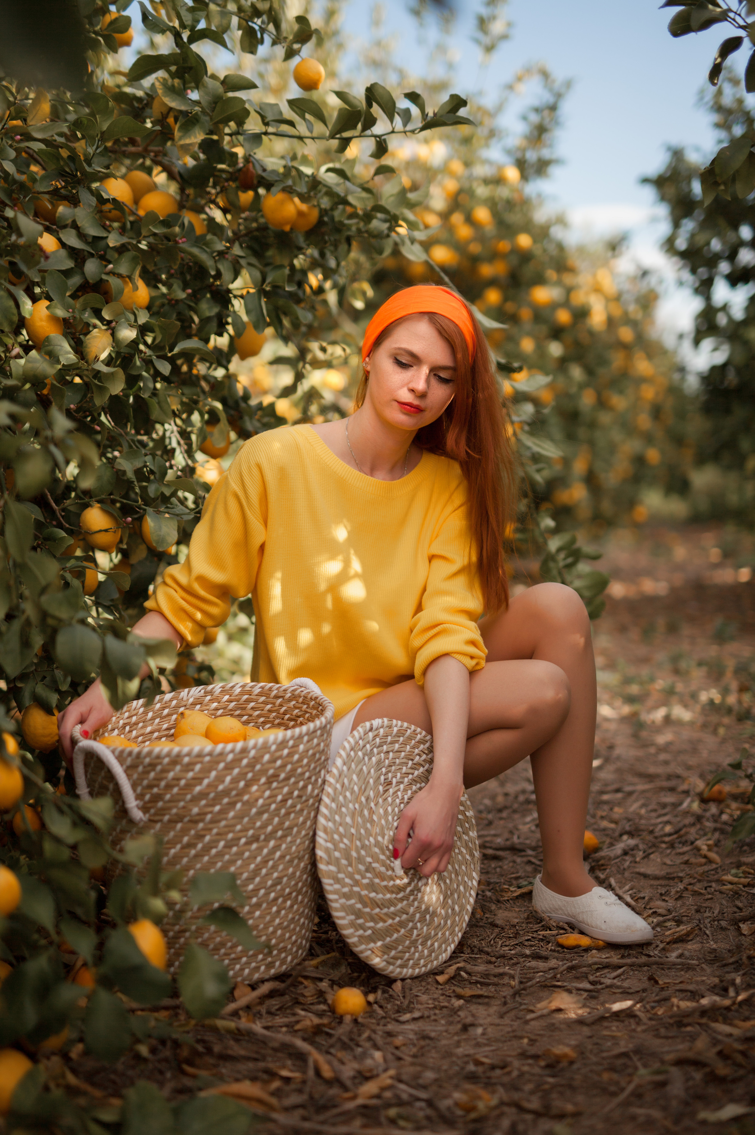 Lemon. Family and real state photographer in Haugesund Dina Vikra