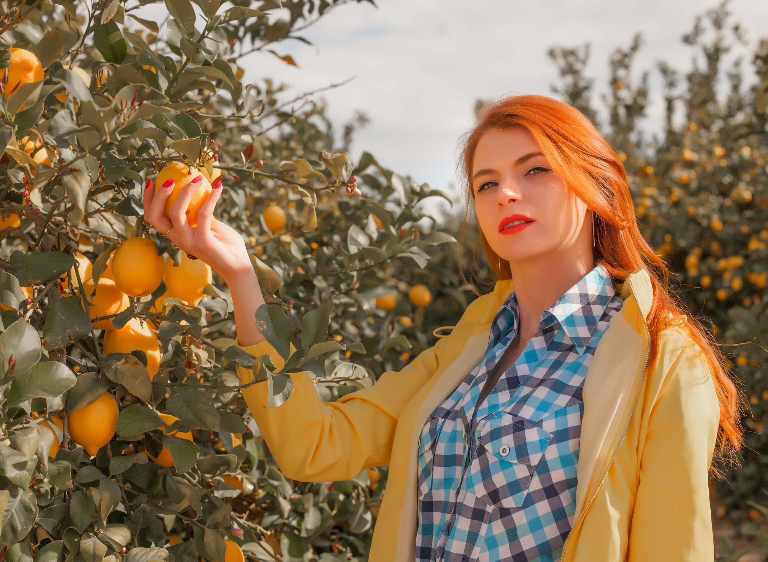 Lemon. Family and real state photographer in Haugesund Dina Vikra