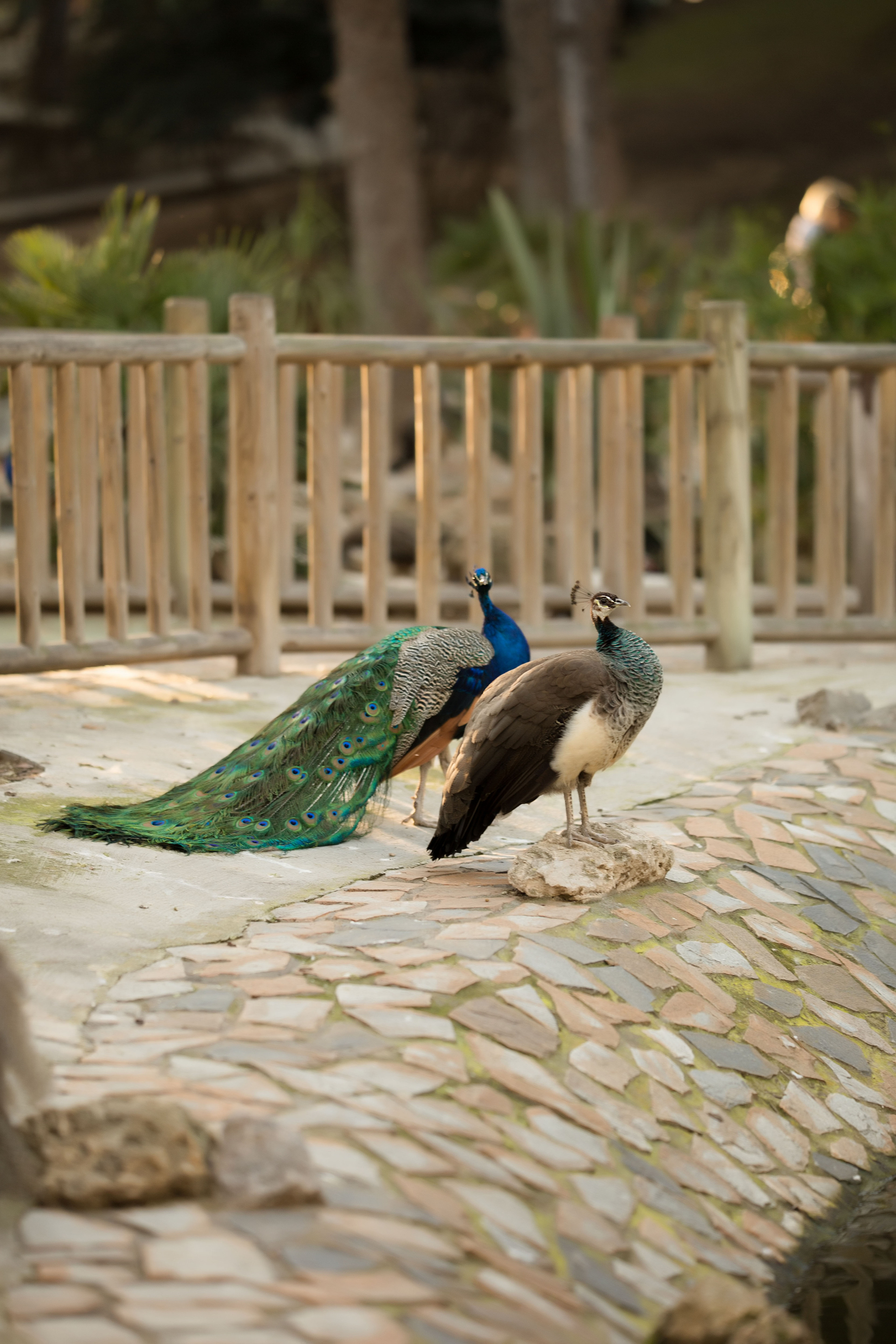 In the park. Family and real state photographer in Haugesund Dina Vikra