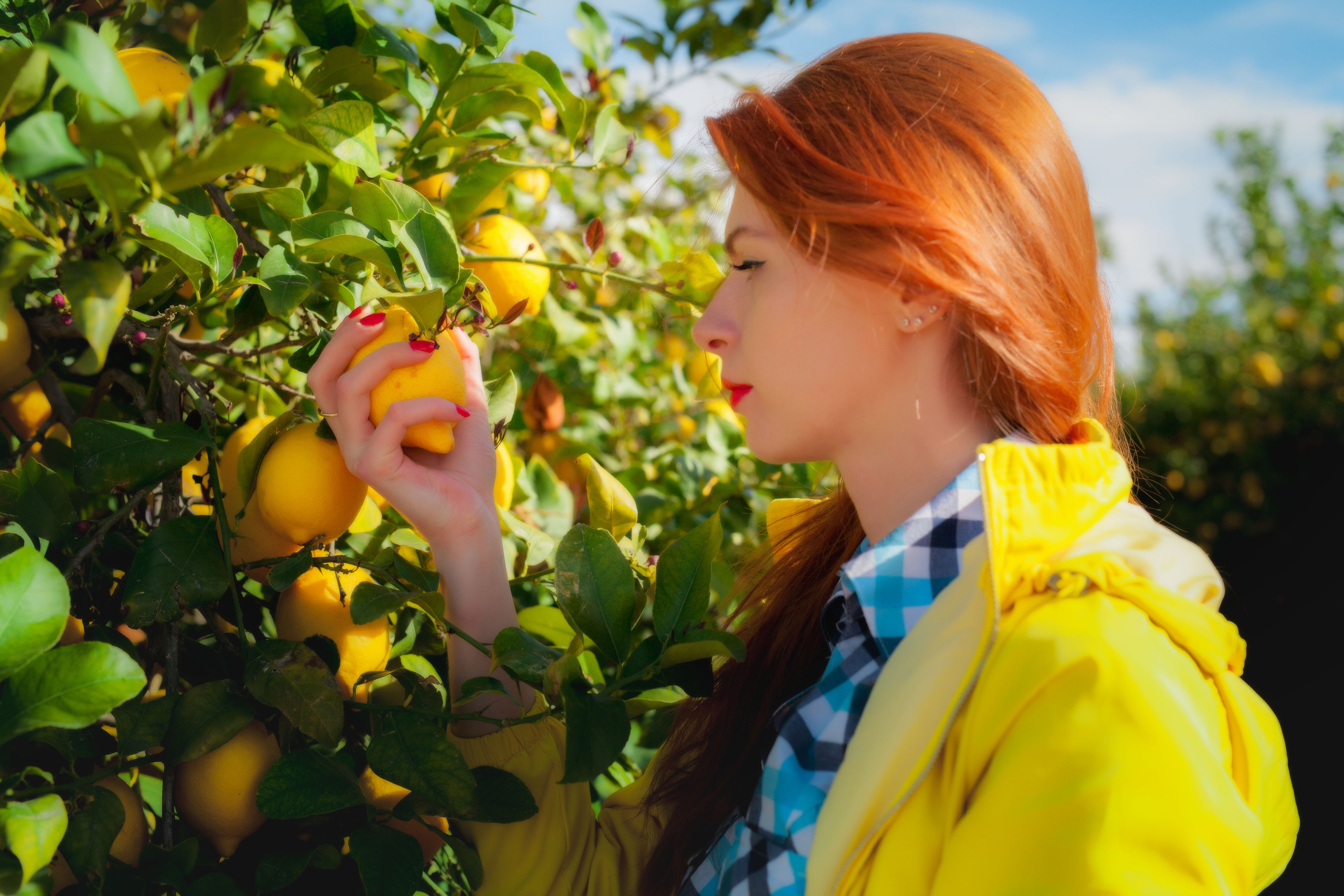 Lemon. Family and real state photographer in Haugesund Dina Vikra