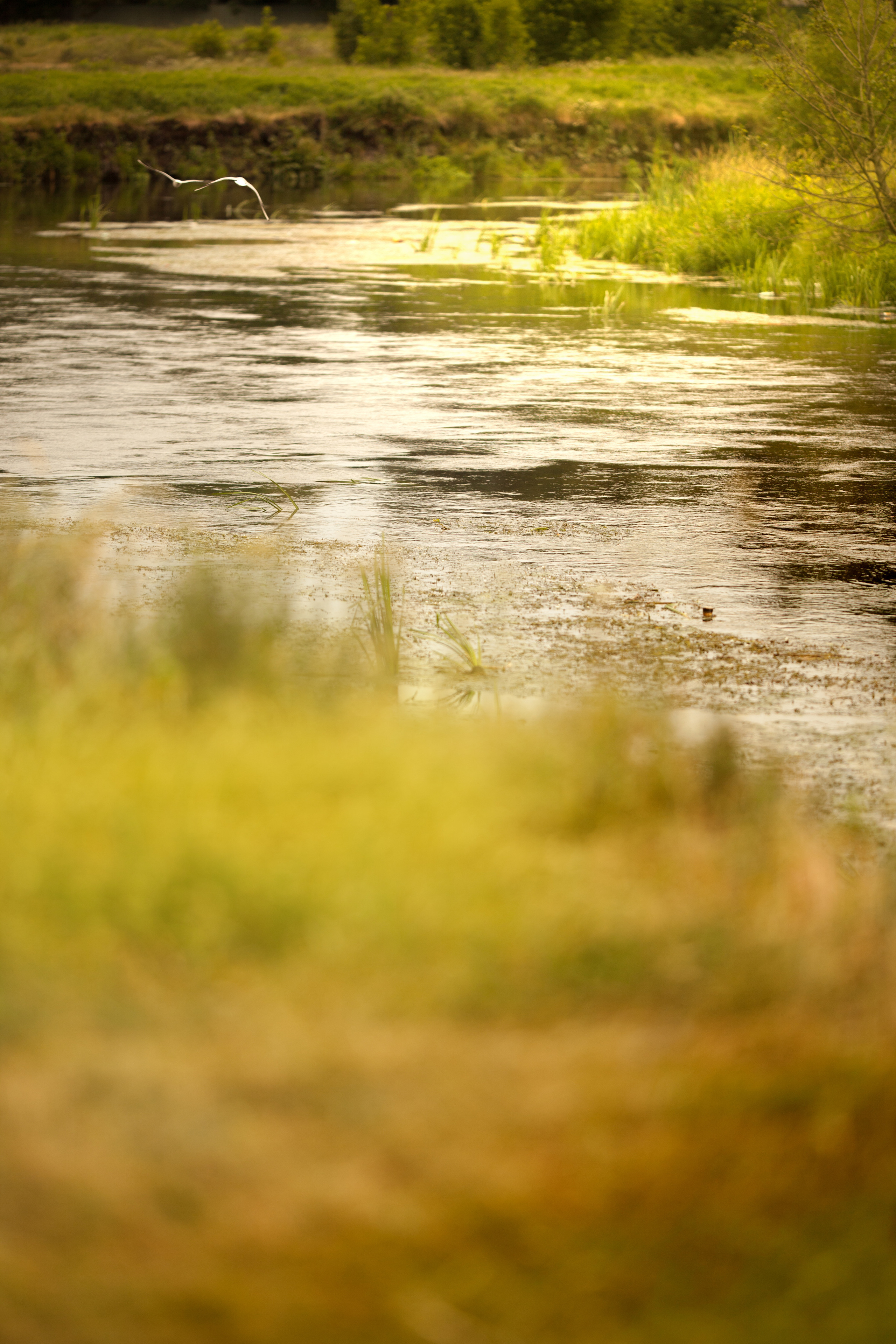 Rural. Family and real state photographer in Haugesund Dina Vikra
