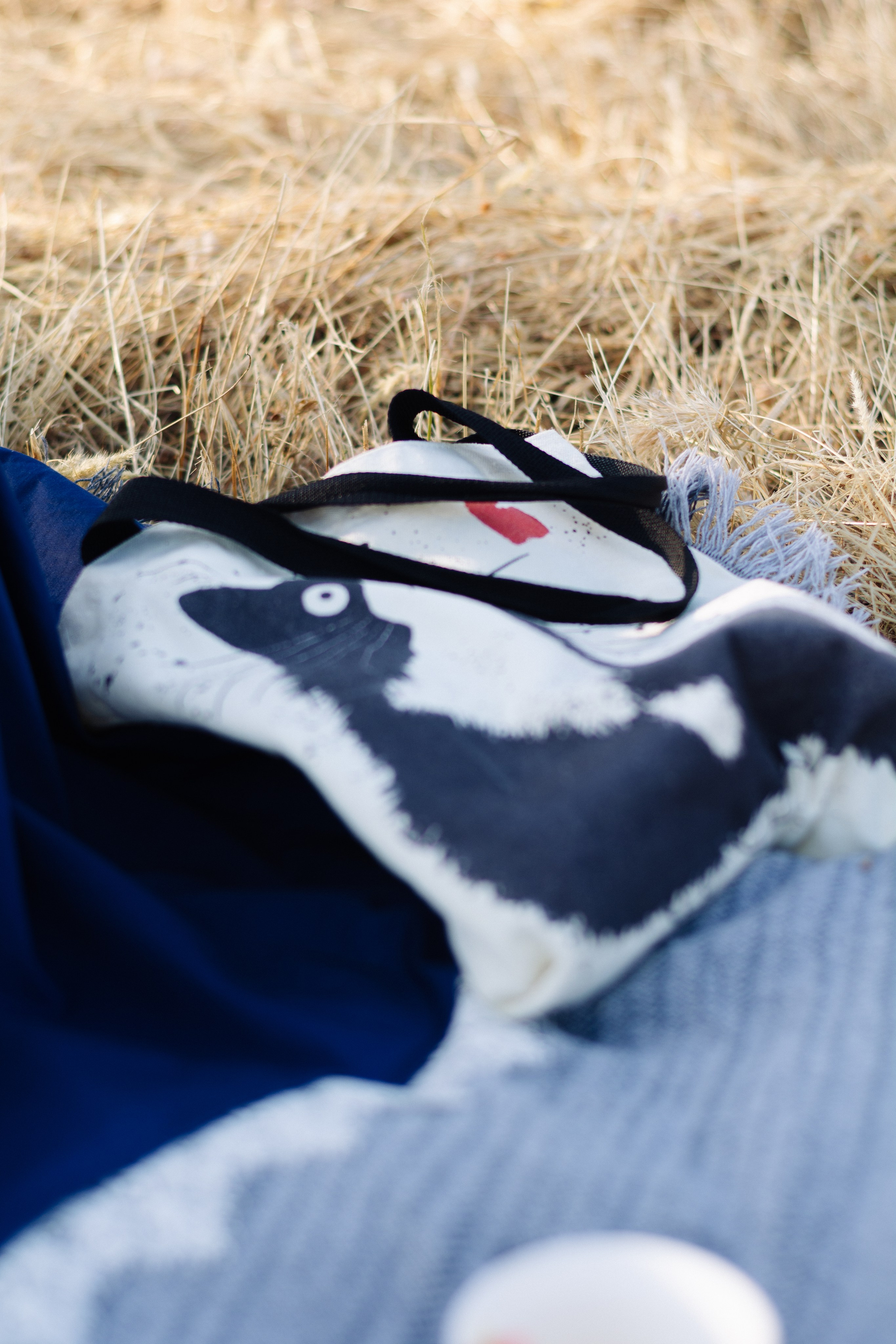 Anna. Shpanarskiy Nazar