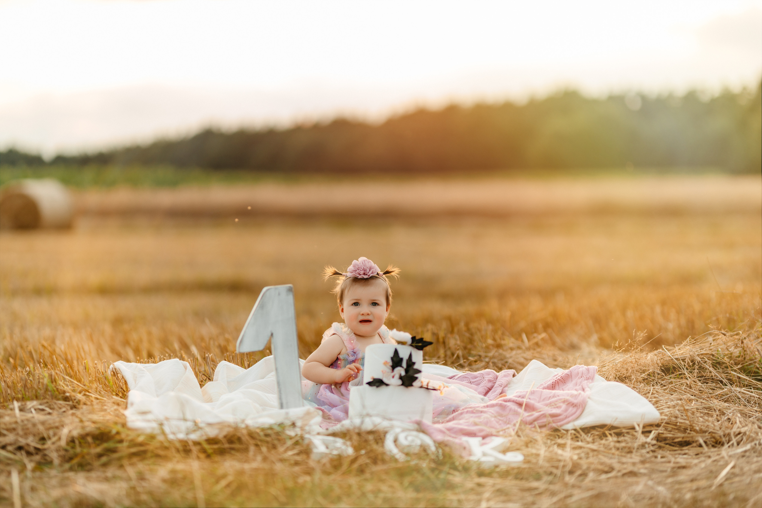 Sesja urodzinowa Liwii. Fotograf Siedlce