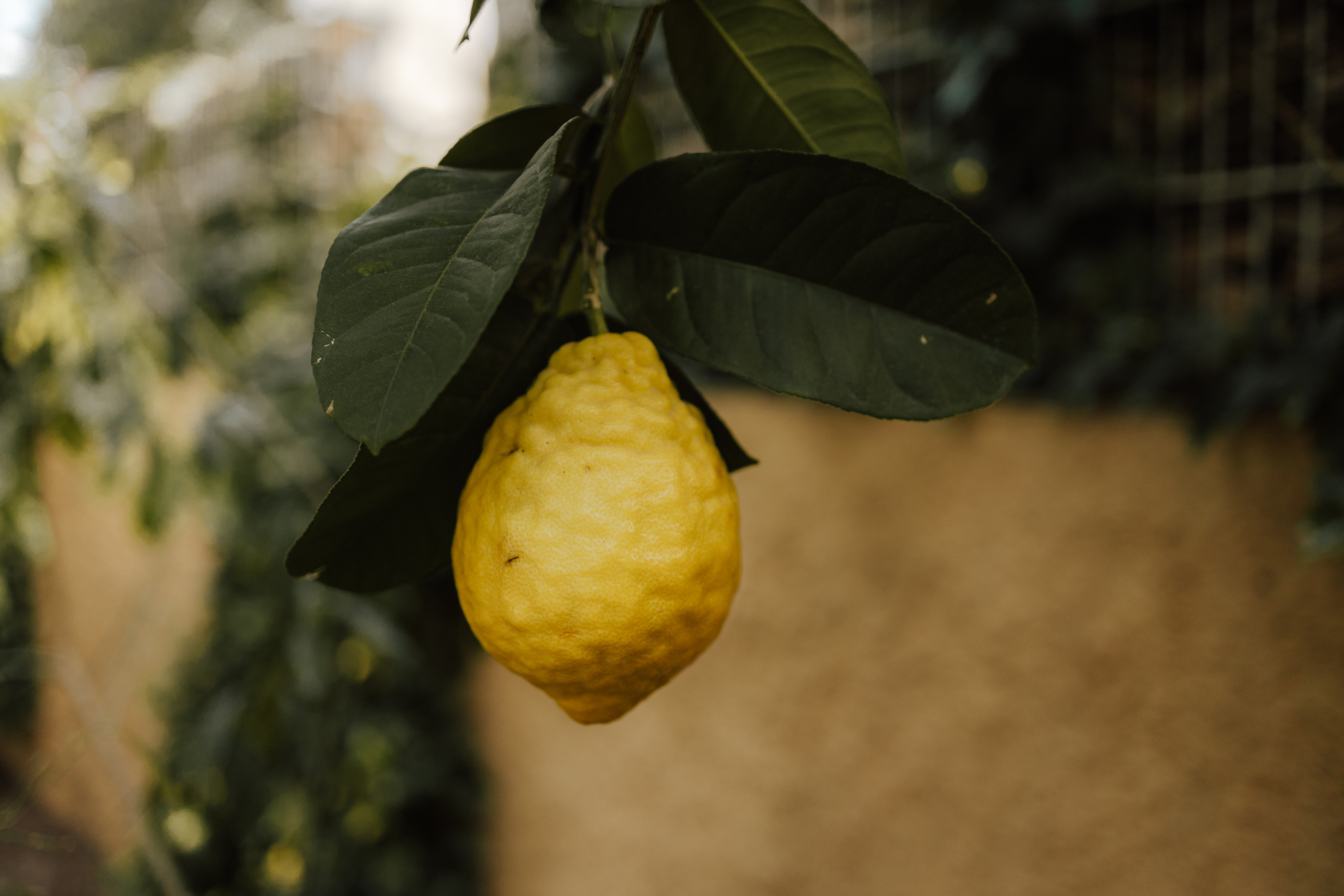 Magda&Krzysiek. Fotograf Siedlce