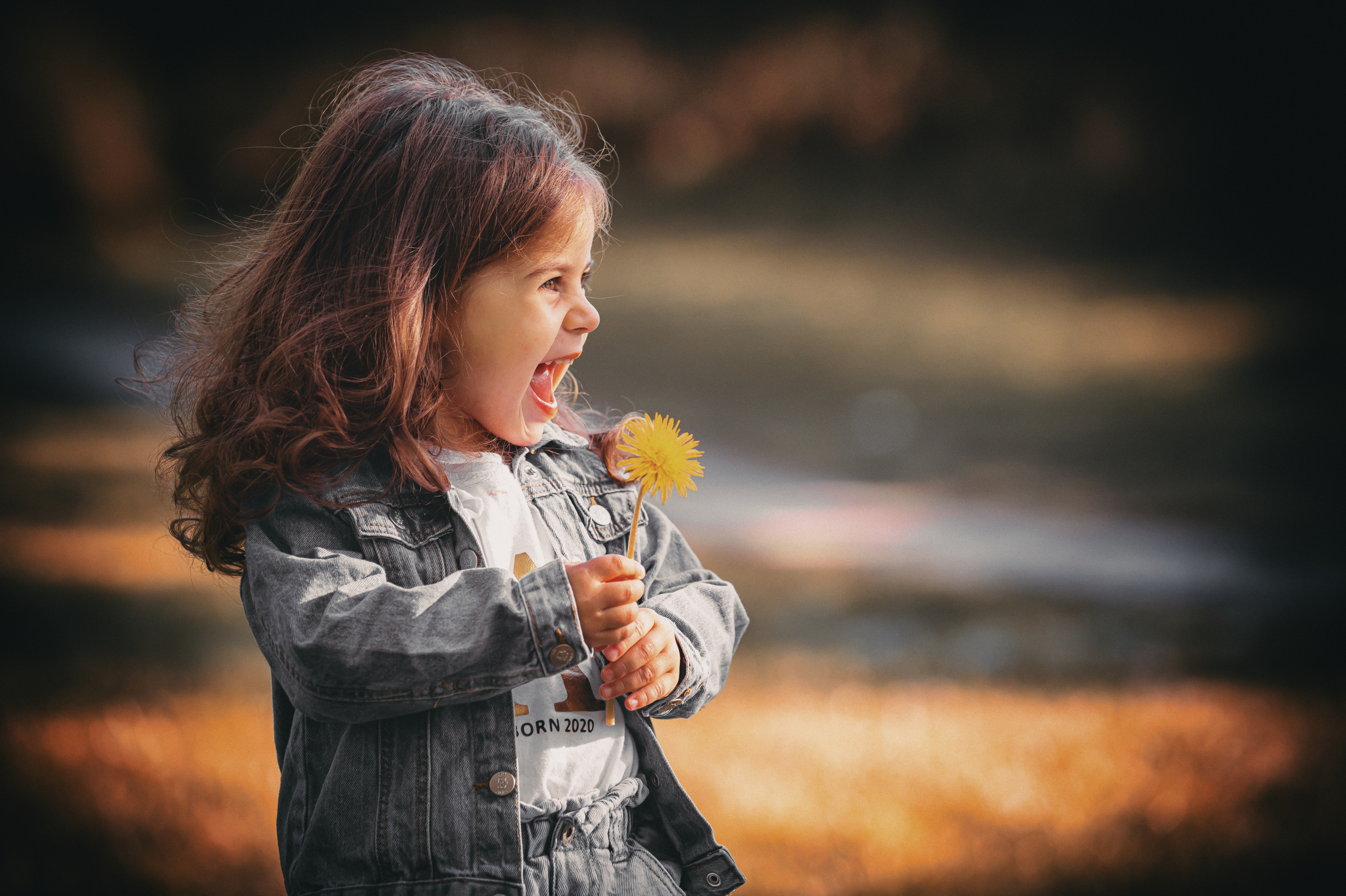 Fotograf in Berlin Brandenburg (Familien, Kinder, Paare, Hochzeiten)