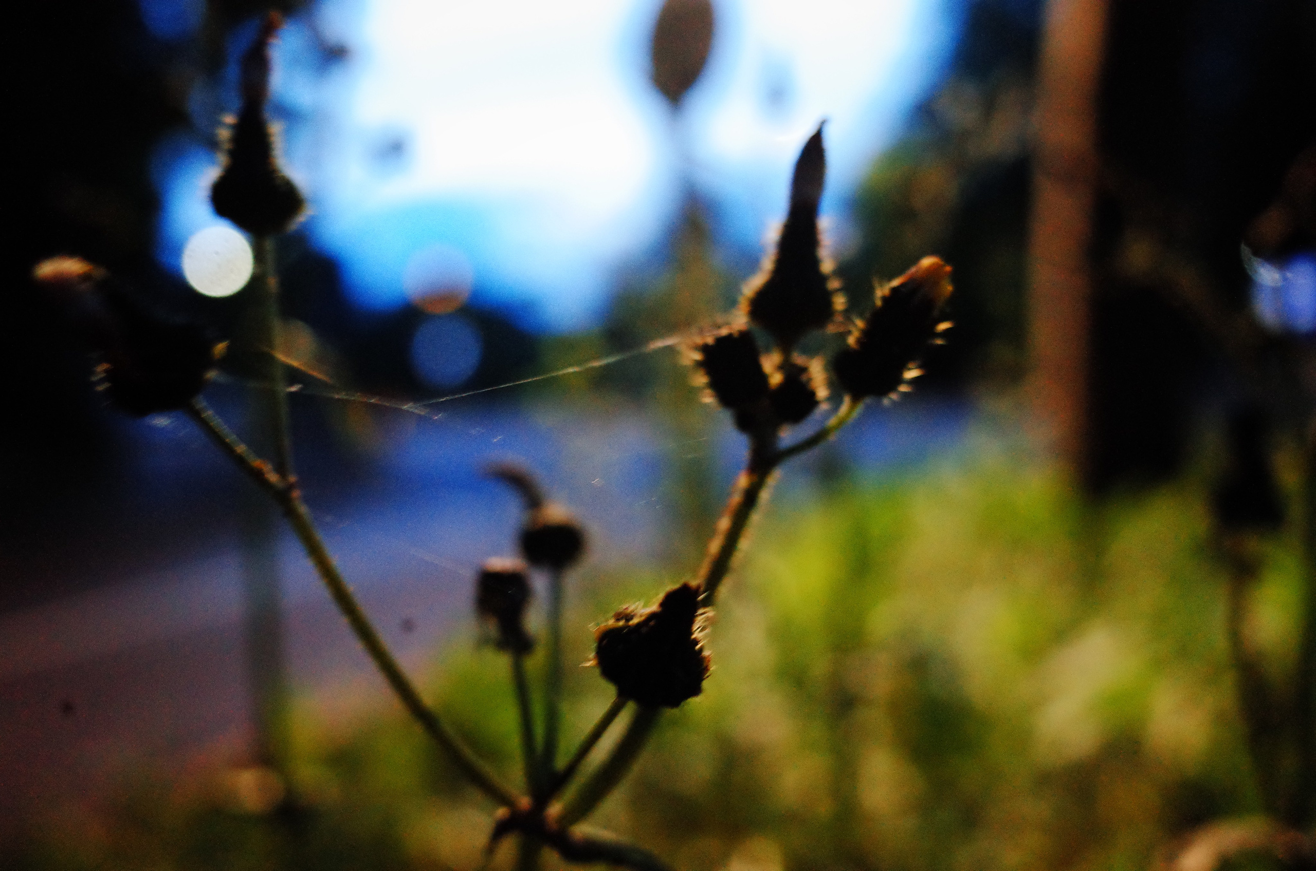 After the dance. Victoria Dini. Art photography in London / Folkestone, UK