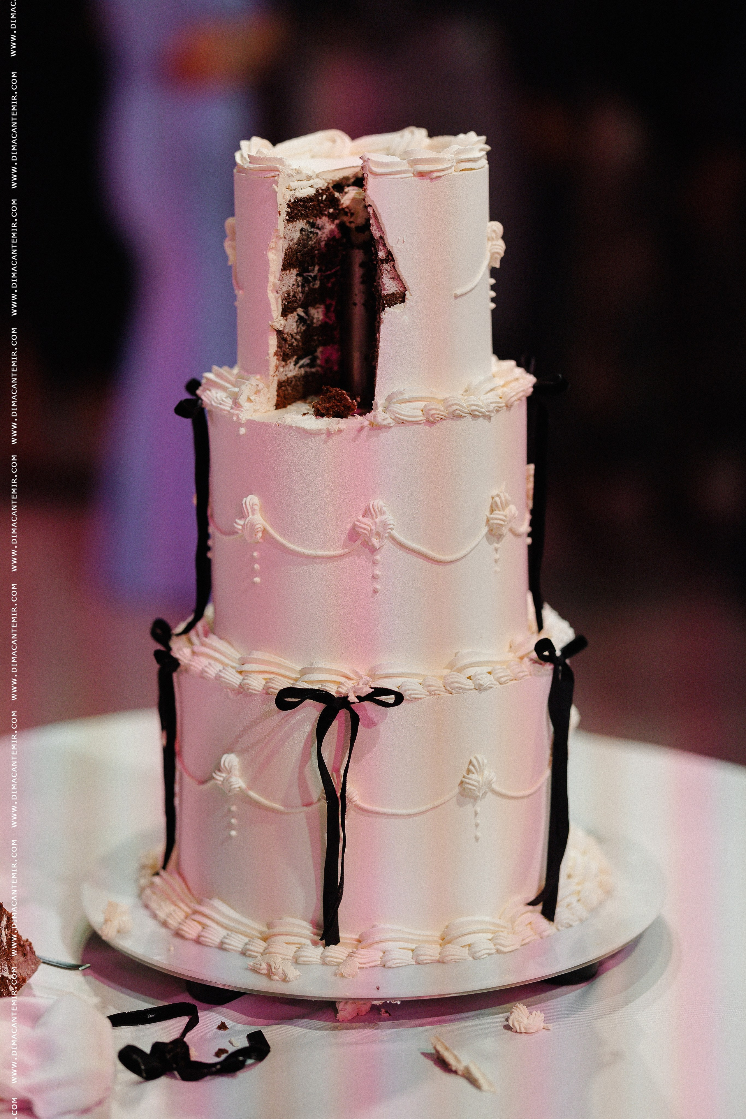 ALEXANDR & SVITLANA. Fotograf de nuntă în Chisinau, Moldova. Poze și Video Comerciale